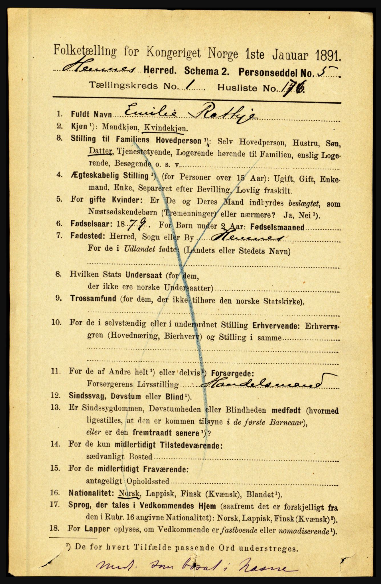 RA, 1891 census for 1832 Hemnes, 1891, p. 1202