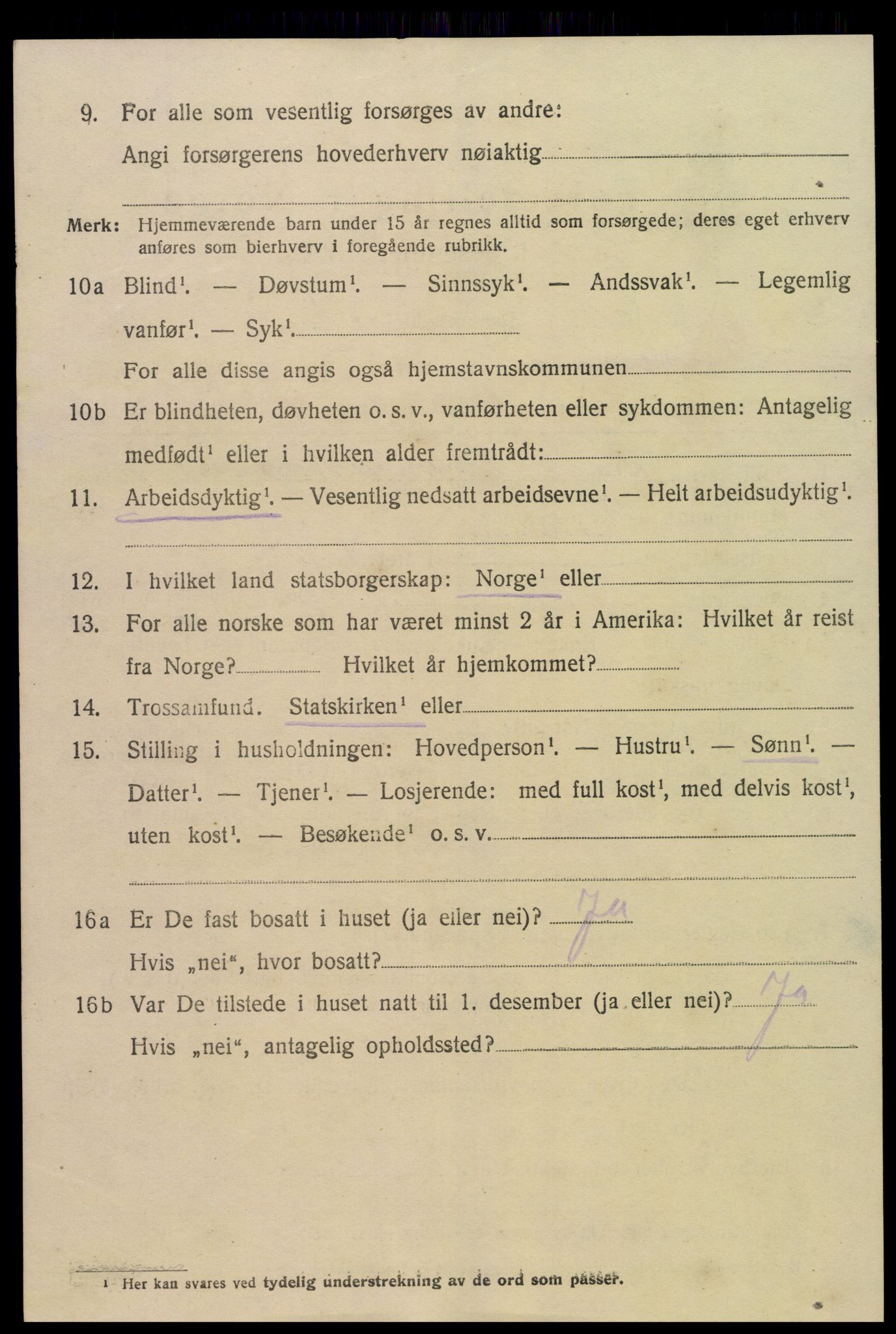 SAK, 1920 census for Hornnes, 1920, p. 926