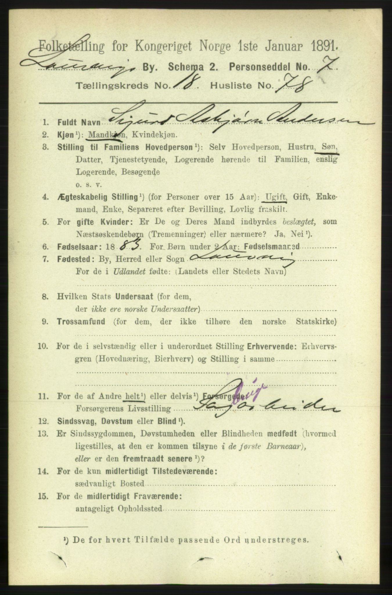 RA, 1891 census for 0707 Larvik, 1891, p. 13882