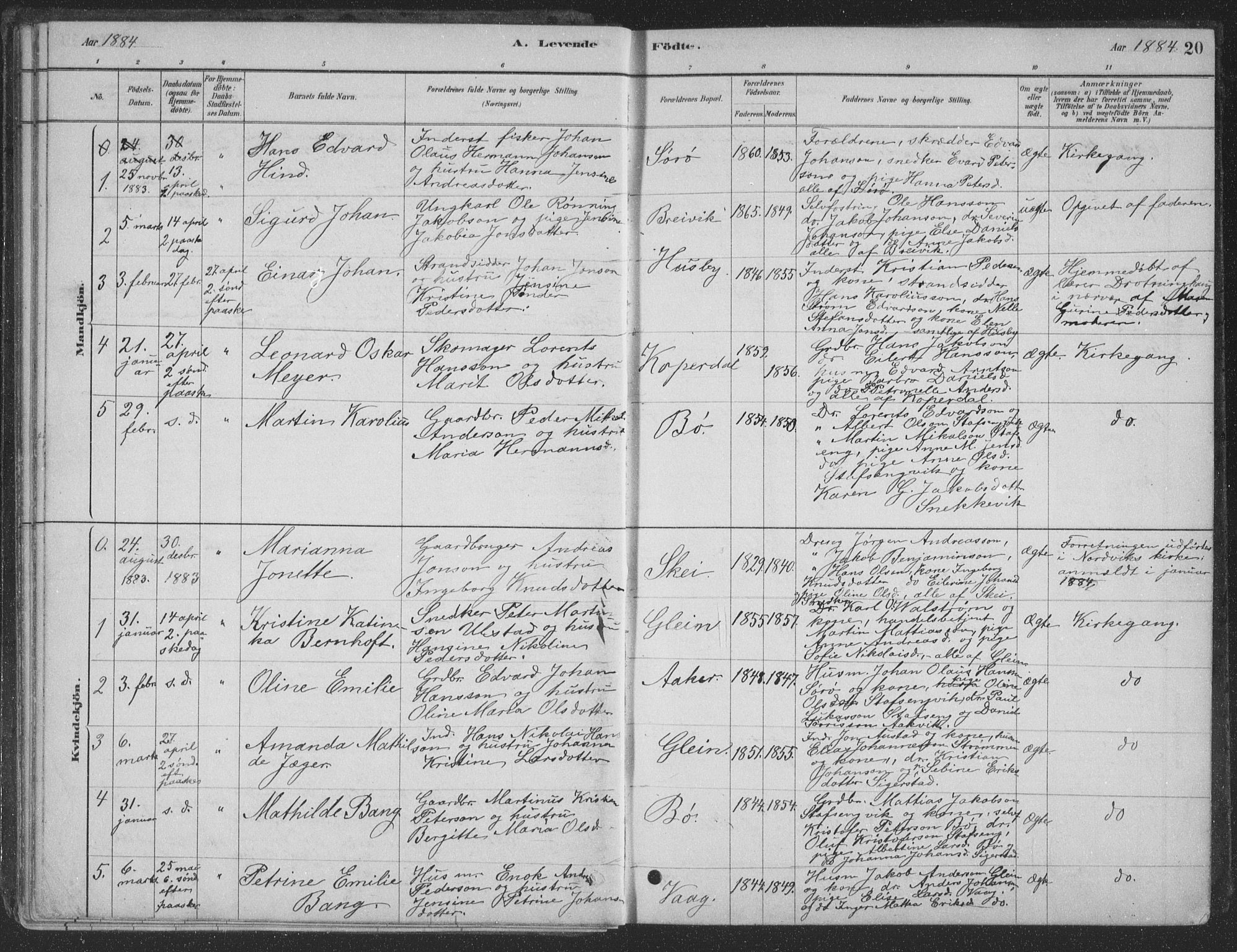 Ministerialprotokoller, klokkerbøker og fødselsregistre - Nordland, AV/SAT-A-1459/835/L0532: Parish register (copy) no. 835C04, 1880-1905, p. 20