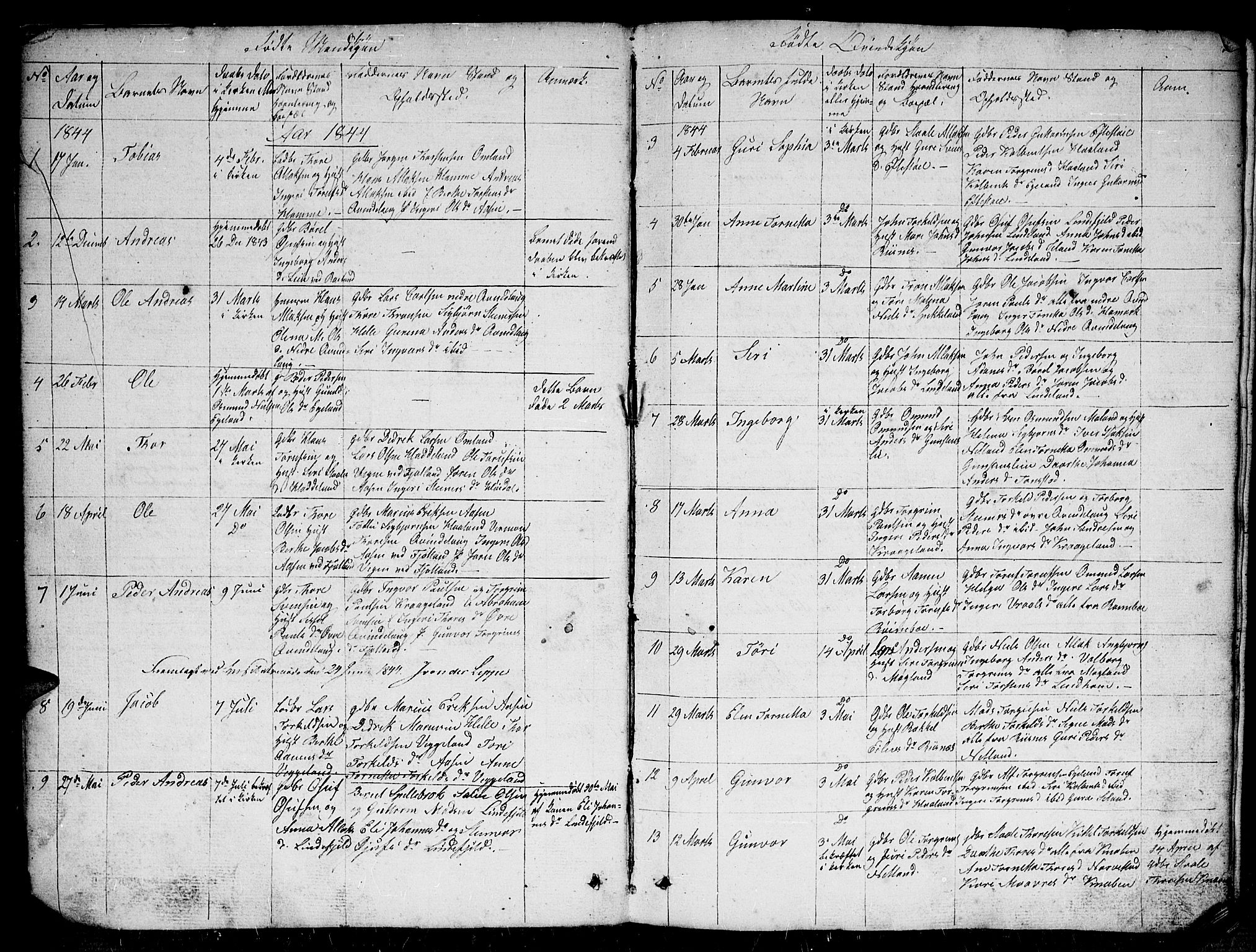Fjotland sokneprestkontor, SAK/1111-0010/F/Fb/L0002: Parish register (copy) no. B 2, 1841-1871, p. 5