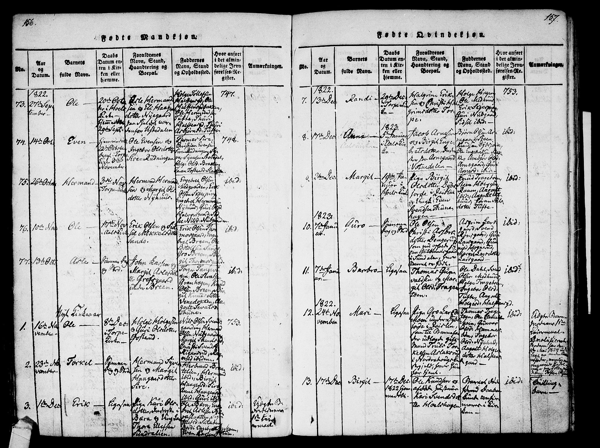 Ål kirkebøker, AV/SAKO-A-249/F/Fa/L0004: Parish register (official) no. I 4, 1815-1825, p. 156-157