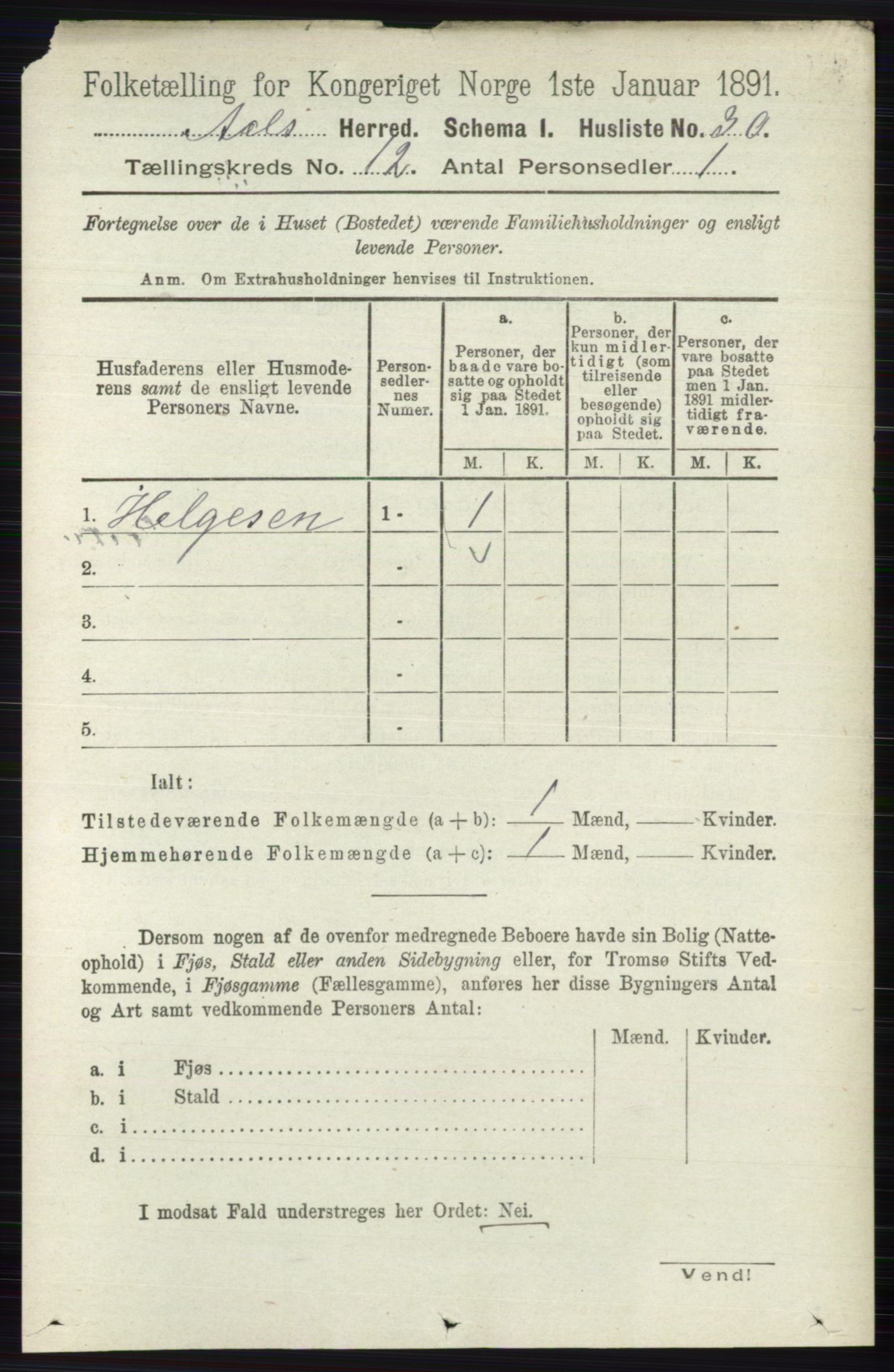RA, 1891 census for 0619 Ål, 1891, p. 2999