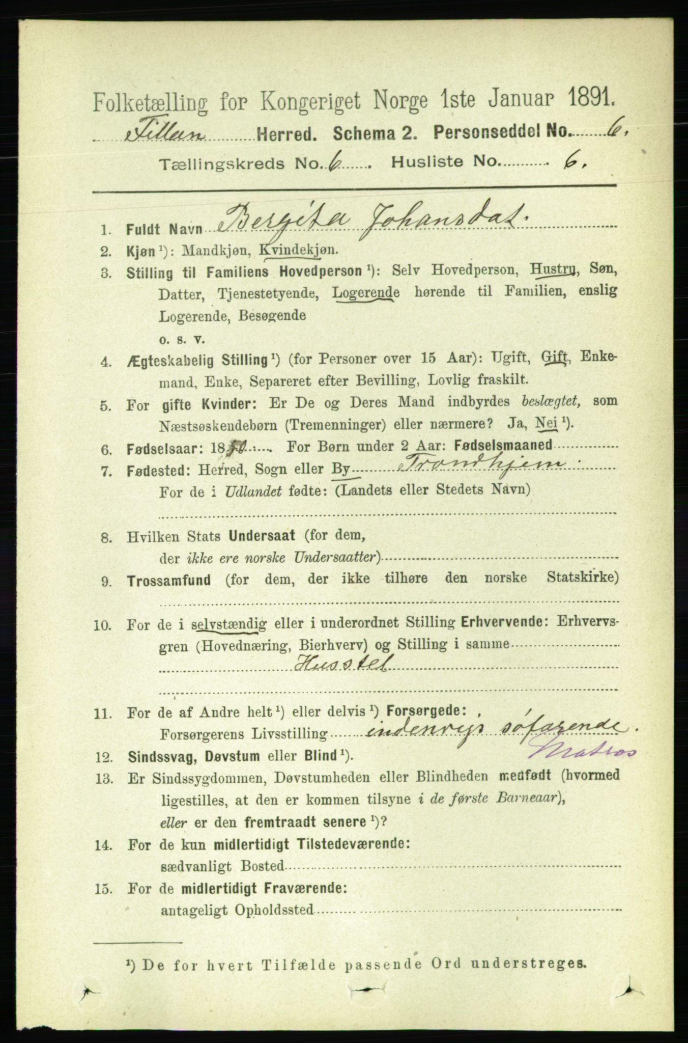 RA, 1891 census for 1616 Fillan, 1891, p. 1303