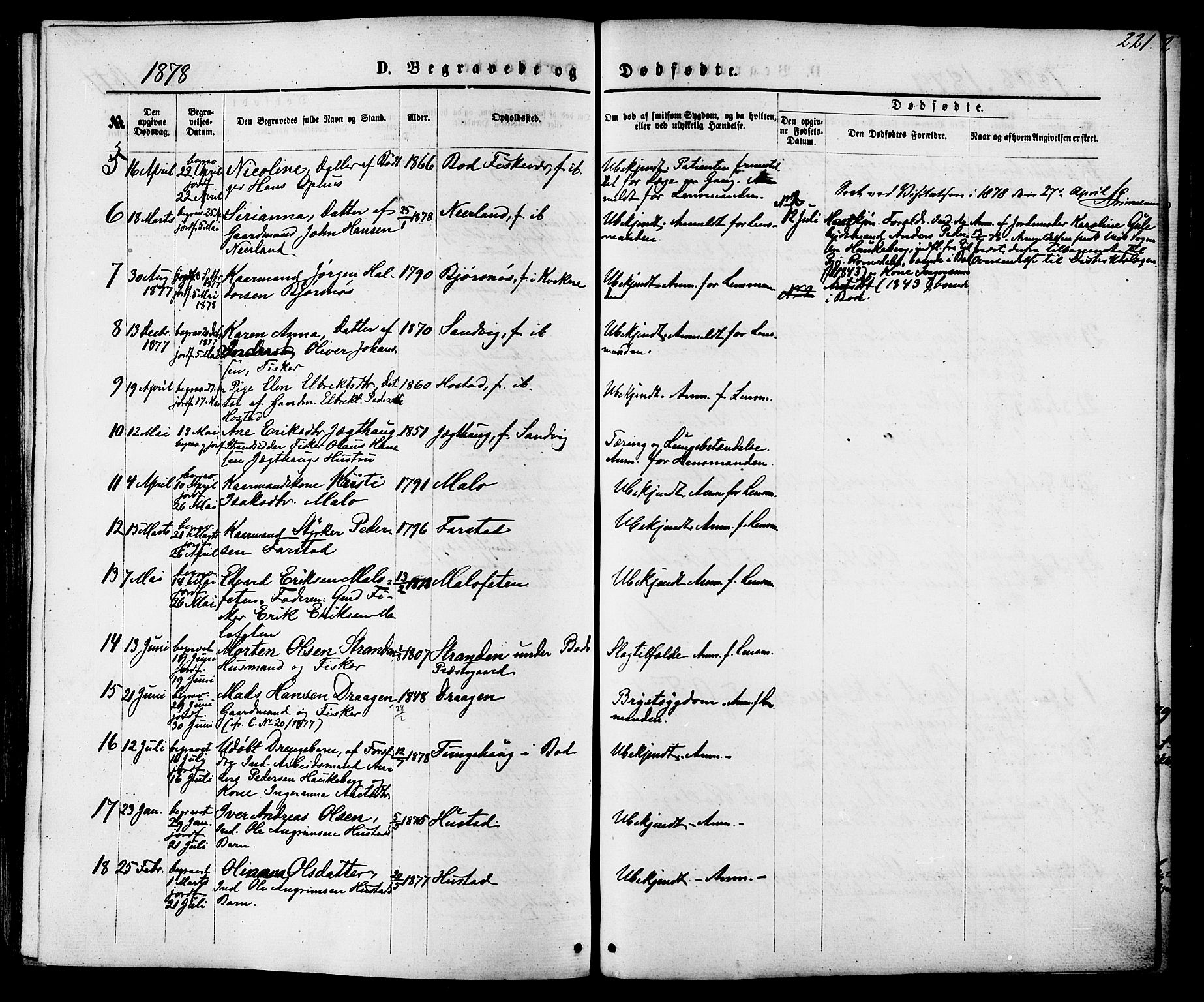 Ministerialprotokoller, klokkerbøker og fødselsregistre - Møre og Romsdal, AV/SAT-A-1454/566/L0768: Parish register (official) no. 566A07, 1869-1881, p. 221