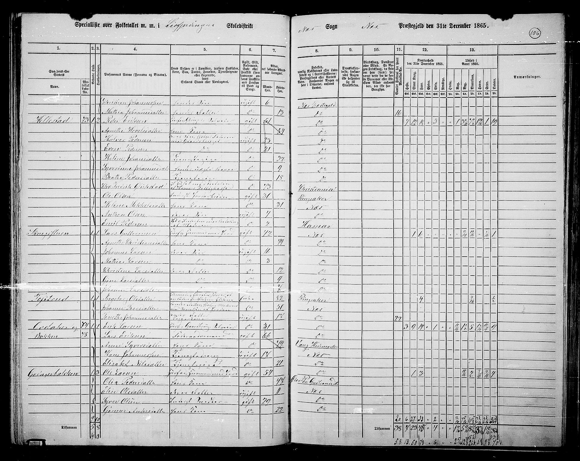 RA, 1865 census for Nes, 1865, p. 91