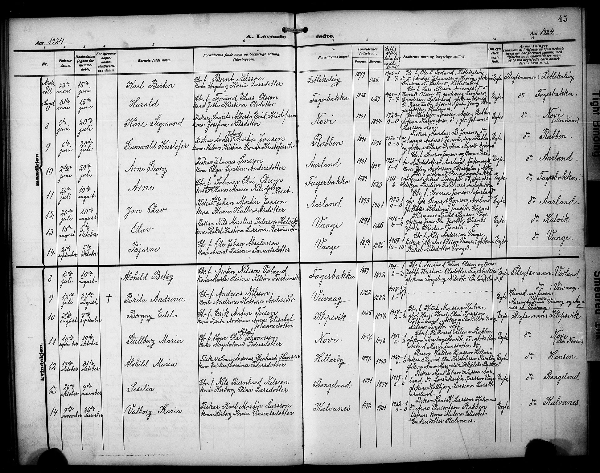 Austevoll sokneprestembete, AV/SAB-A-74201/H/Ha/Hab/Habb/L0006: Parish register (copy) no. B 6, 1911-1925, p. 45