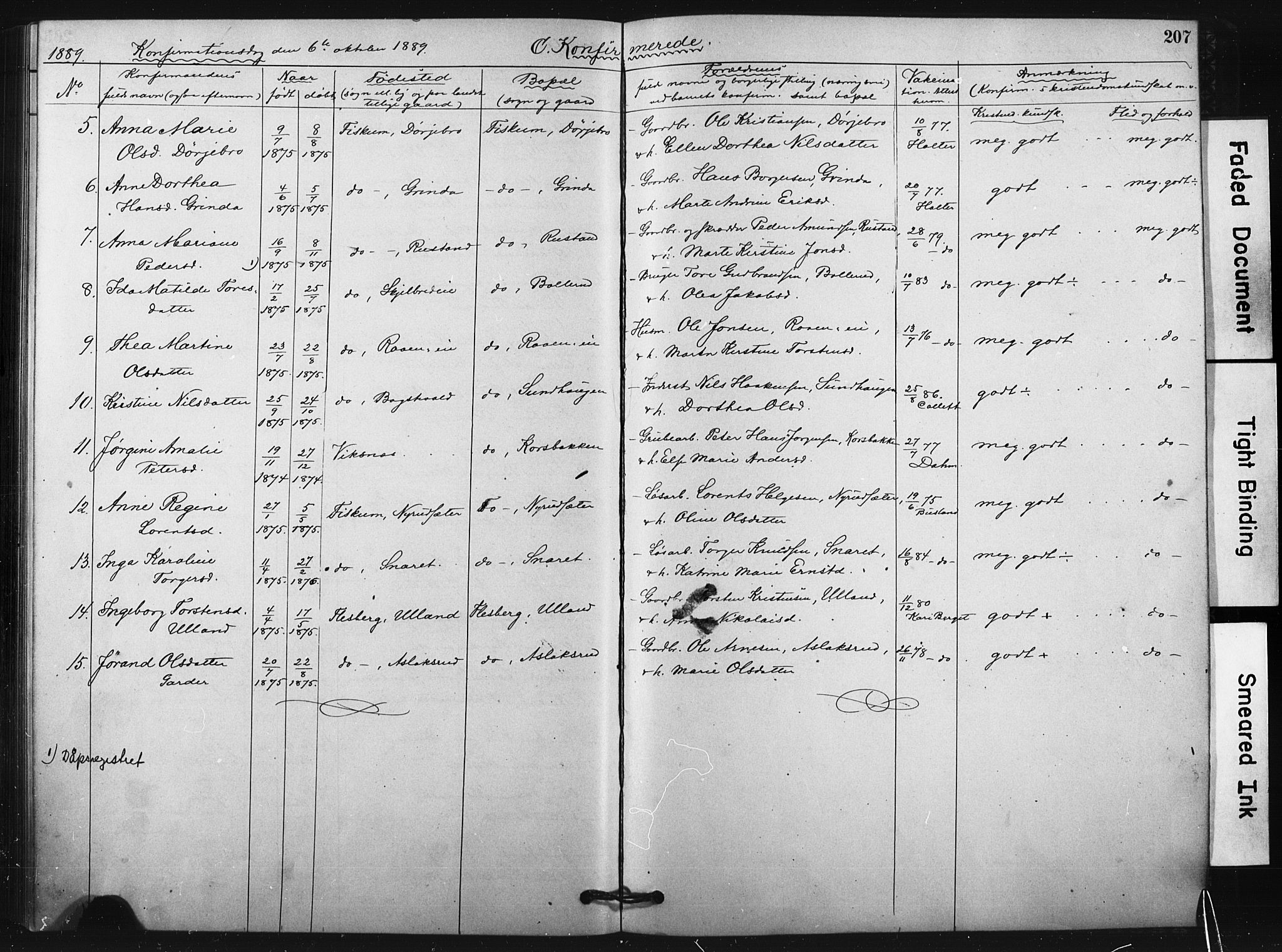 Fiskum kirkebøker, SAKO/A-15/F/Fa/L0002: Parish register (official) no. 2, 1878-1890, p. 207