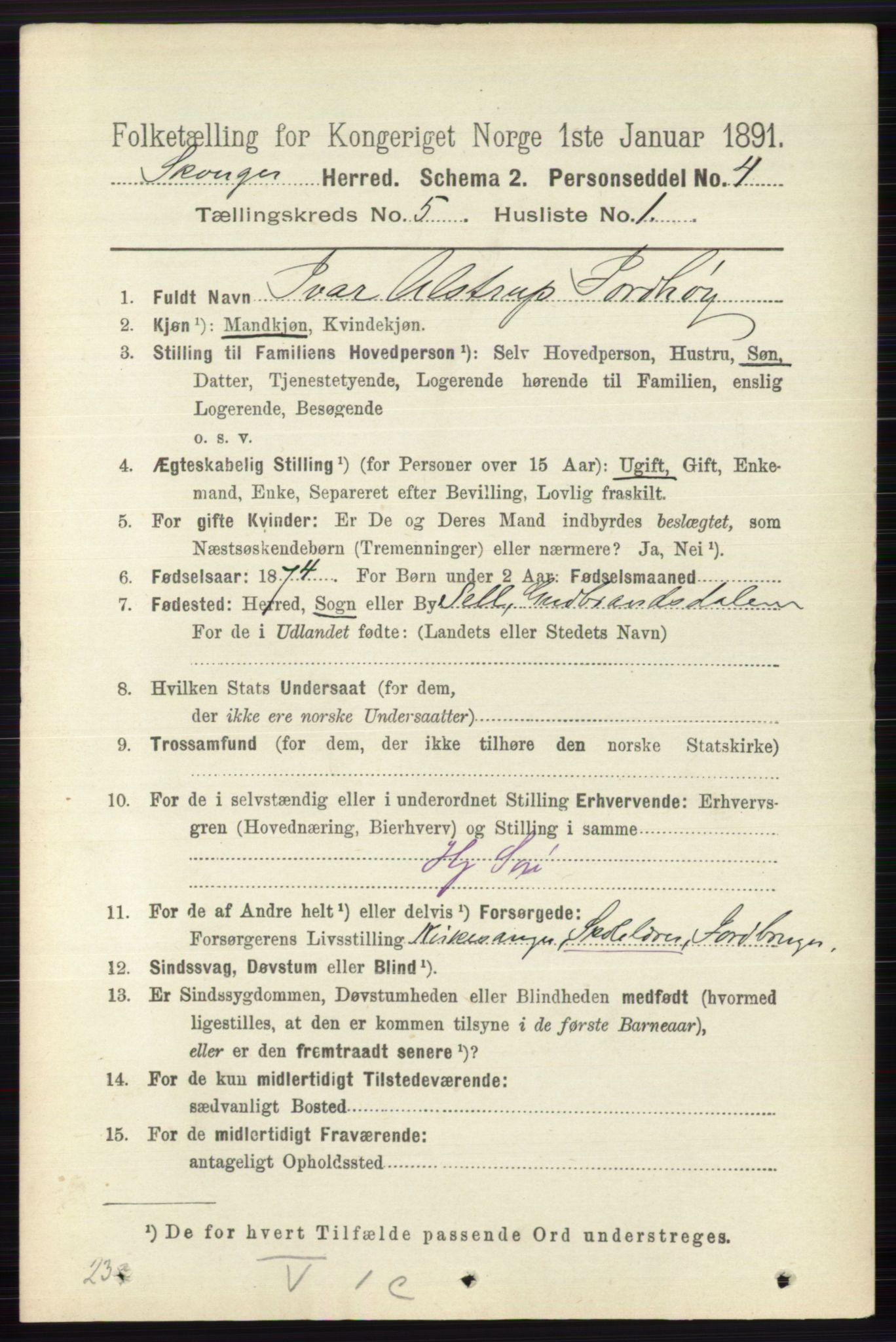 RA, 1891 census for 0712 Skoger, 1891, p. 3112