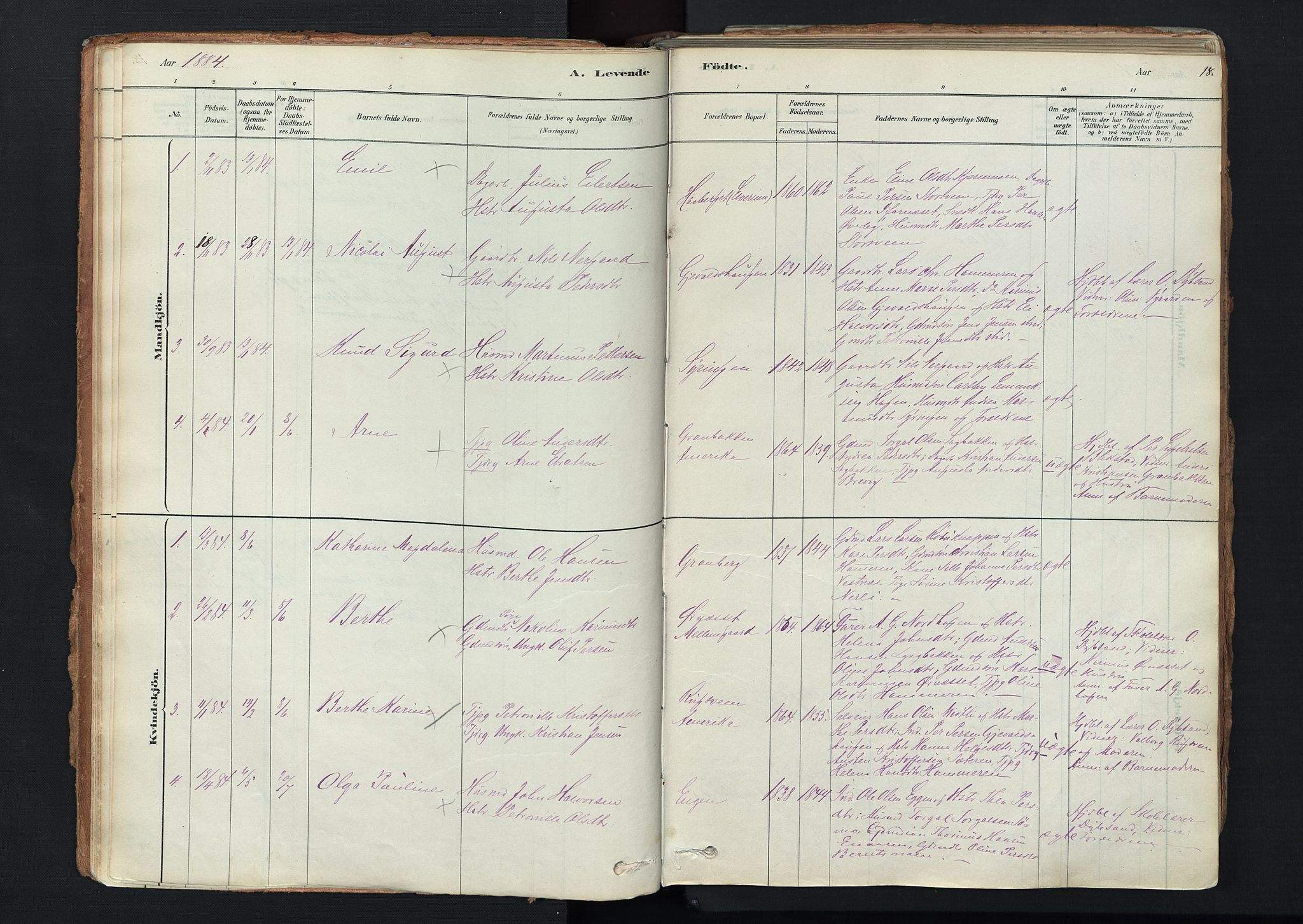 Trysil prestekontor, SAH/PREST-046/H/Ha/Haa/L0011: Parish register (official) no. 11, 1878-1912, p. 18