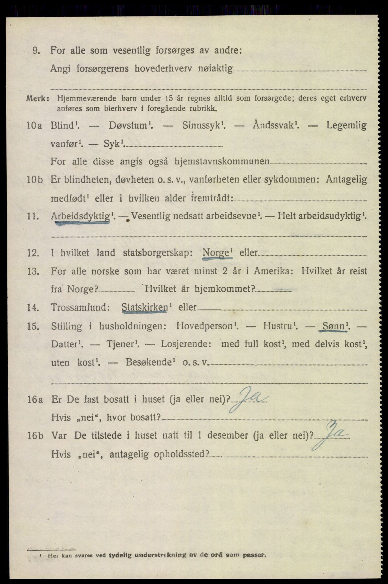 SAKO, 1920 census for Gjerpen, 1920, p. 10785