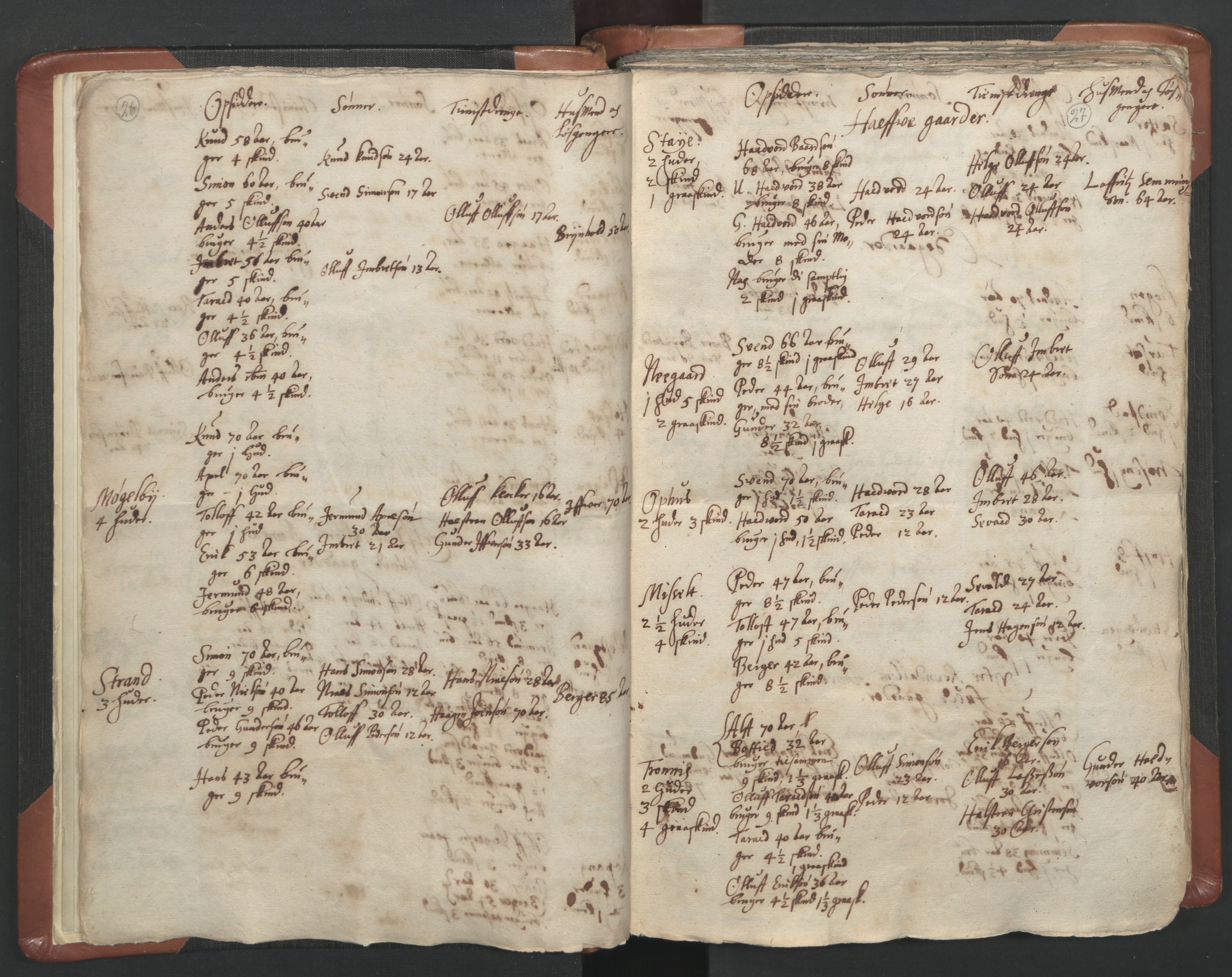 RA, Vicar's Census 1664-1666, no. 5: Hedmark deanery, 1664-1666, p. 26-27