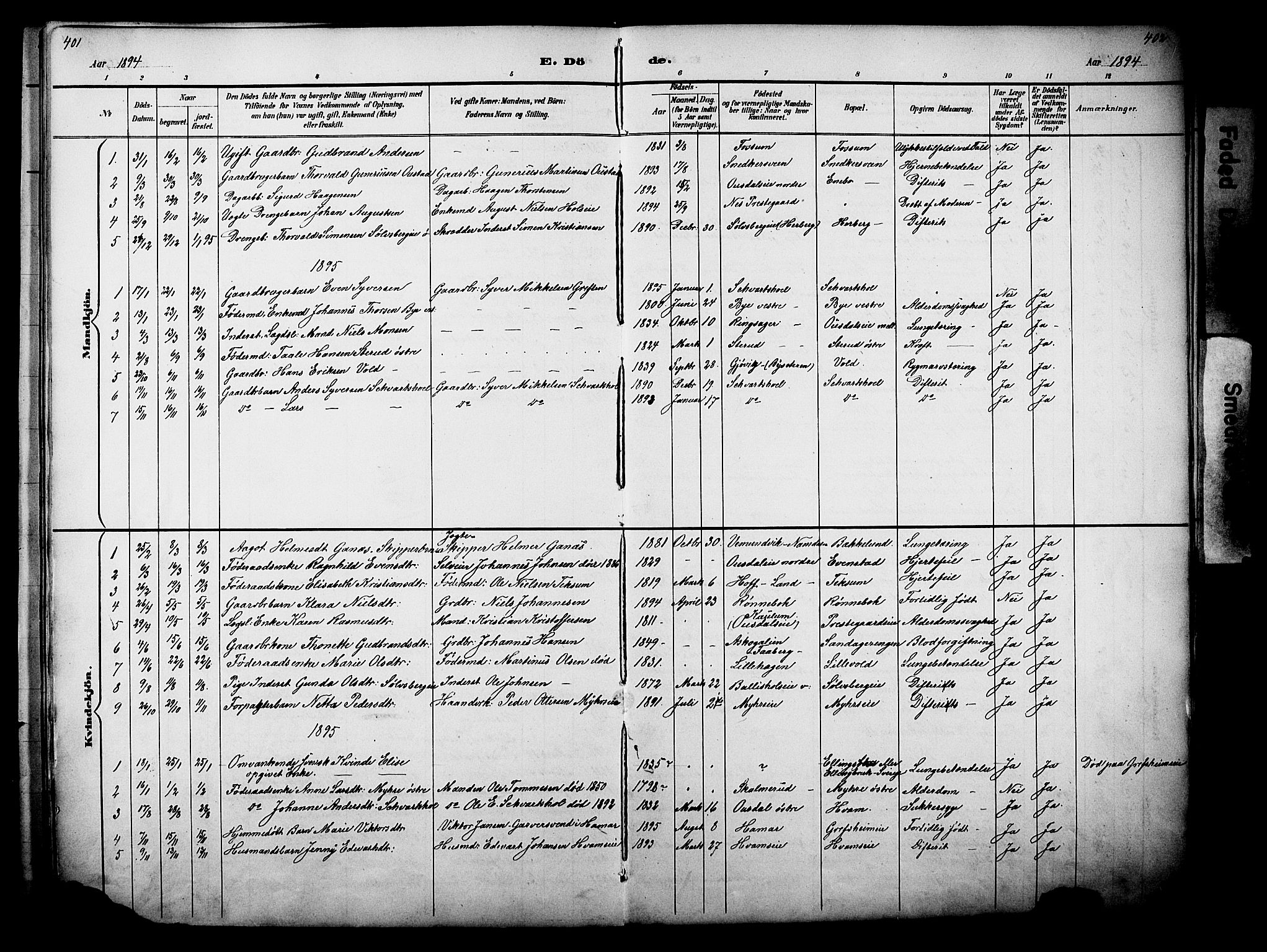 Nes prestekontor, Hedmark, AV/SAH-PREST-020/L/La/L0006: Parish register (copy) no. 6, 1890-1932, p. 401-402