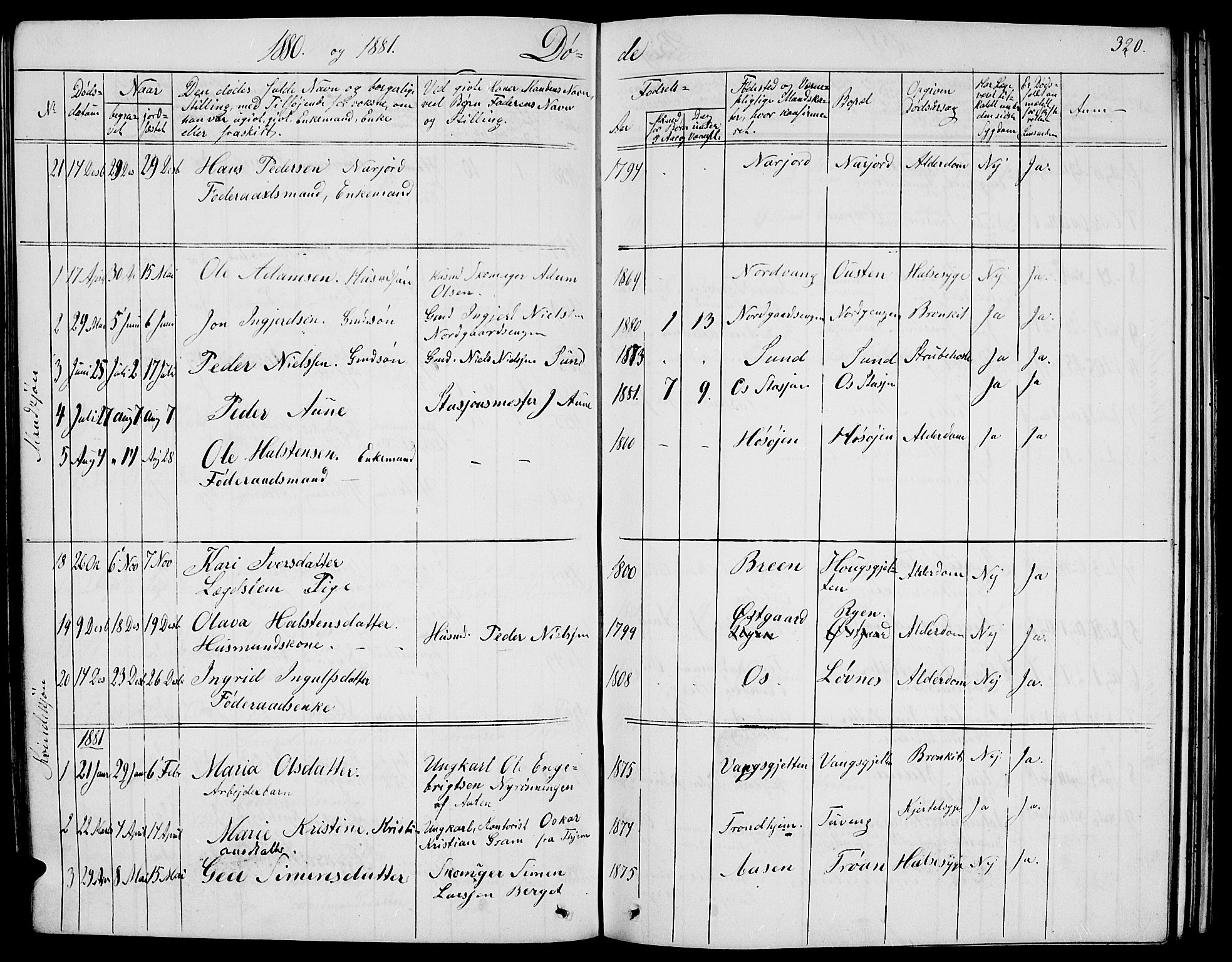 Tolga prestekontor, SAH/PREST-062/L/L0004: Parish register (copy) no. 4, 1845-1887, p. 320
