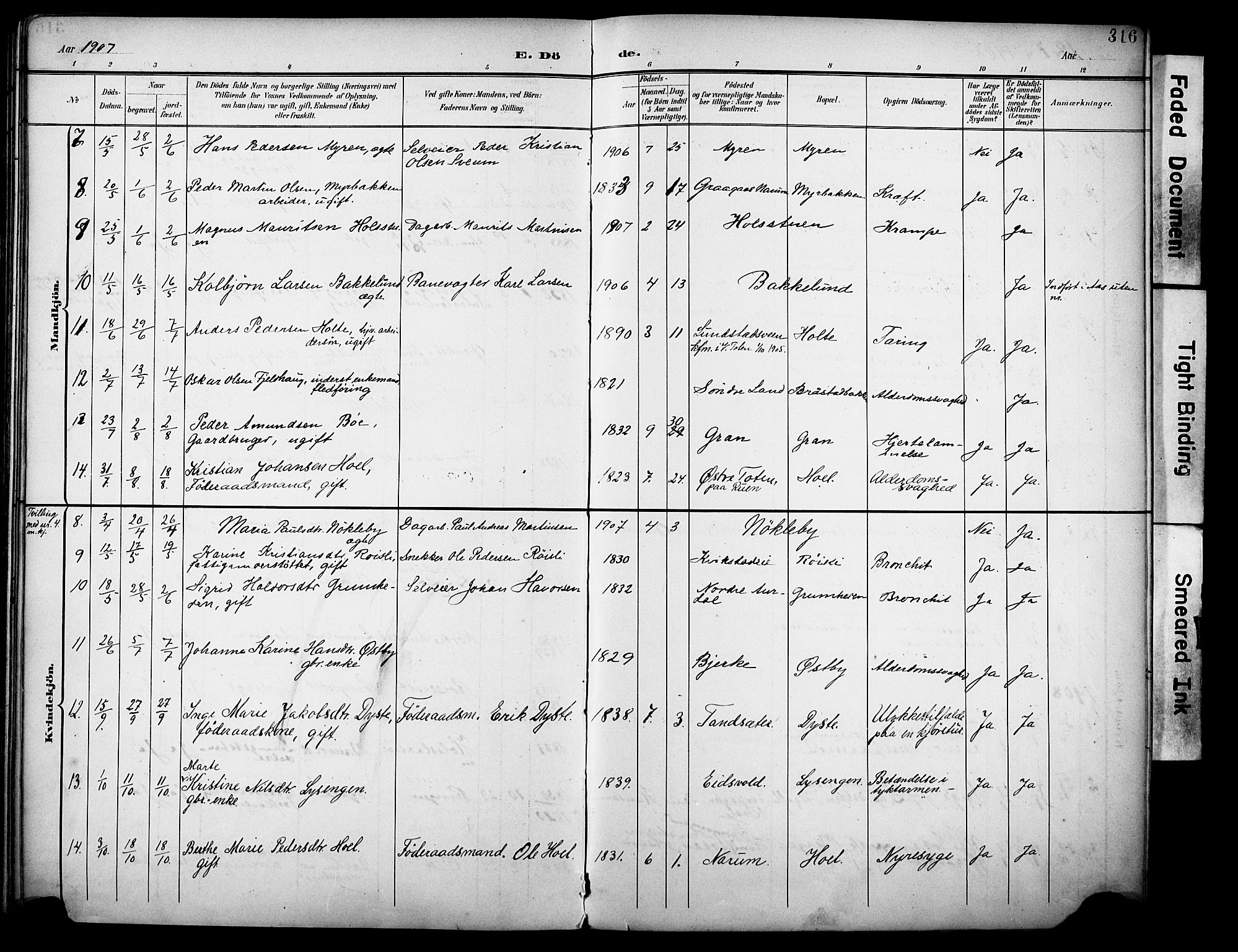 Vestre Toten prestekontor, SAH/PREST-108/H/Ha/Haa/L0013: Parish register (official) no. 13, 1895-1911, p. 316