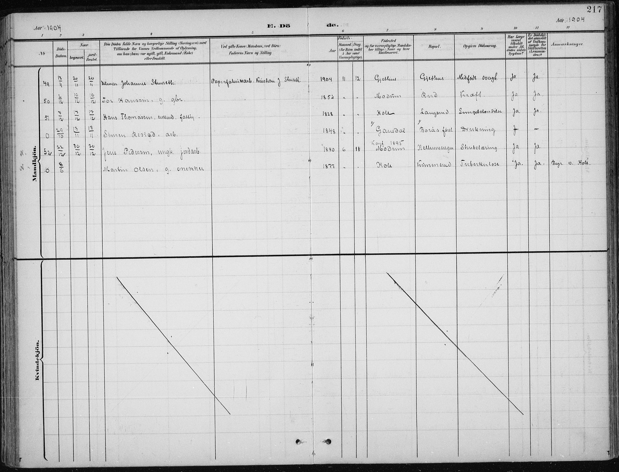 Modum kirkebøker, AV/SAKO-A-234/F/Fa/L0013: Parish register (official) no. 13, 1899-1907, p. 217