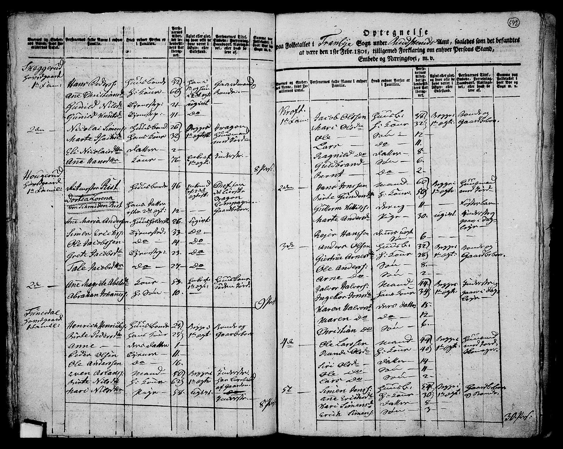 RA, 1801 census for 0626P Lier, 1801, p. 541b-542a