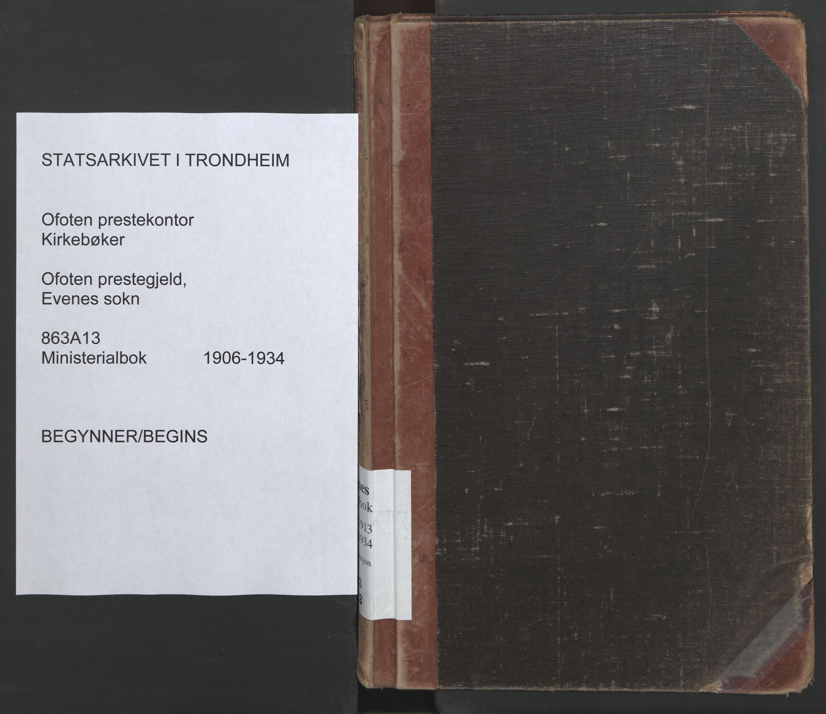 Ministerialprotokoller, klokkerbøker og fødselsregistre - Nordland, AV/SAT-A-1459/863/L0901: Parish register (official) no. 863A13, 1906-1934