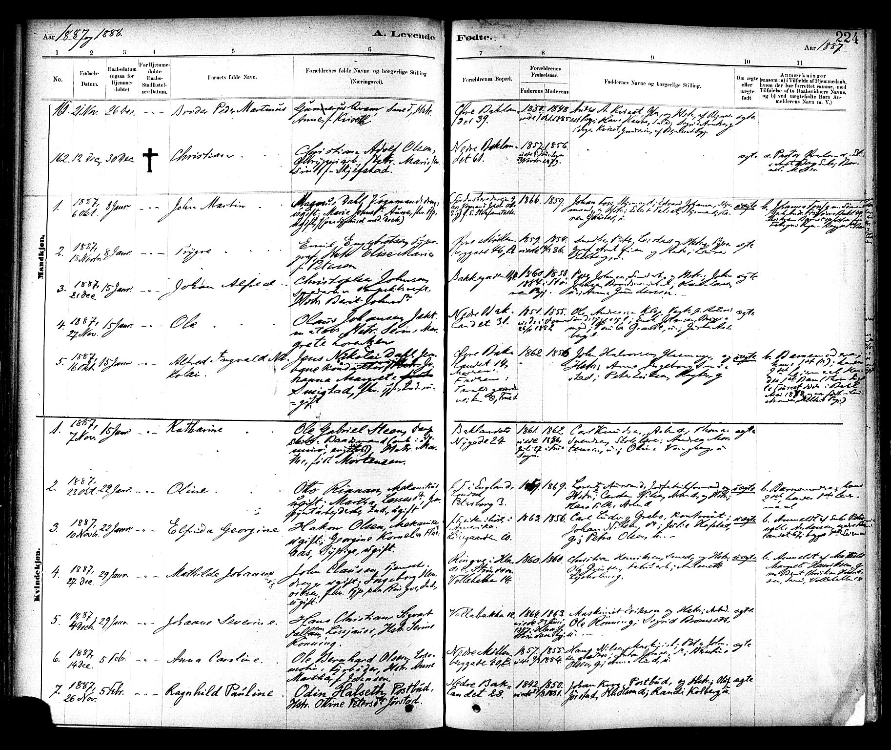 Ministerialprotokoller, klokkerbøker og fødselsregistre - Sør-Trøndelag, SAT/A-1456/604/L0188: Parish register (official) no. 604A09, 1878-1892, p. 224