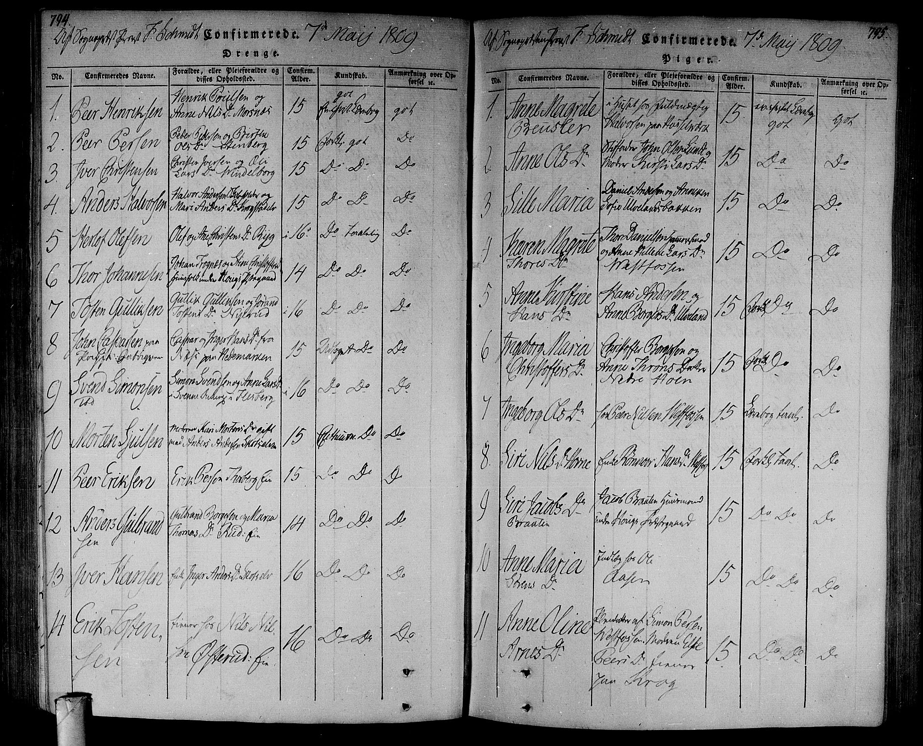 Eiker kirkebøker, AV/SAKO-A-4/F/Fa/L0010: Parish register (official) no. I 10, 1806-1815, p. 794-795