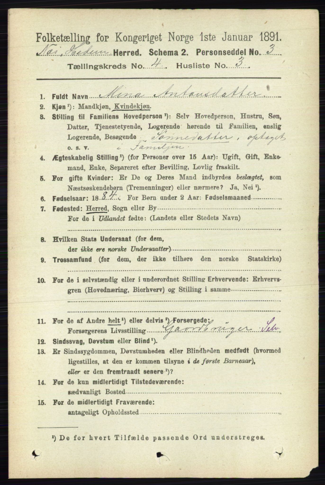 RA, 1891 census for 0411 Nes, 1891, p. 2056