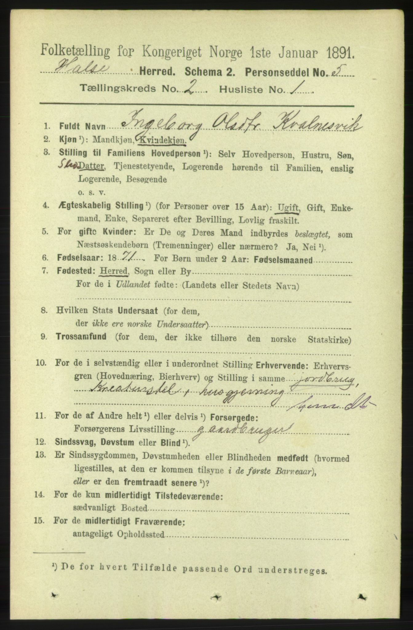 RA, 1891 census for 1571 Halsa, 1891, p. 245