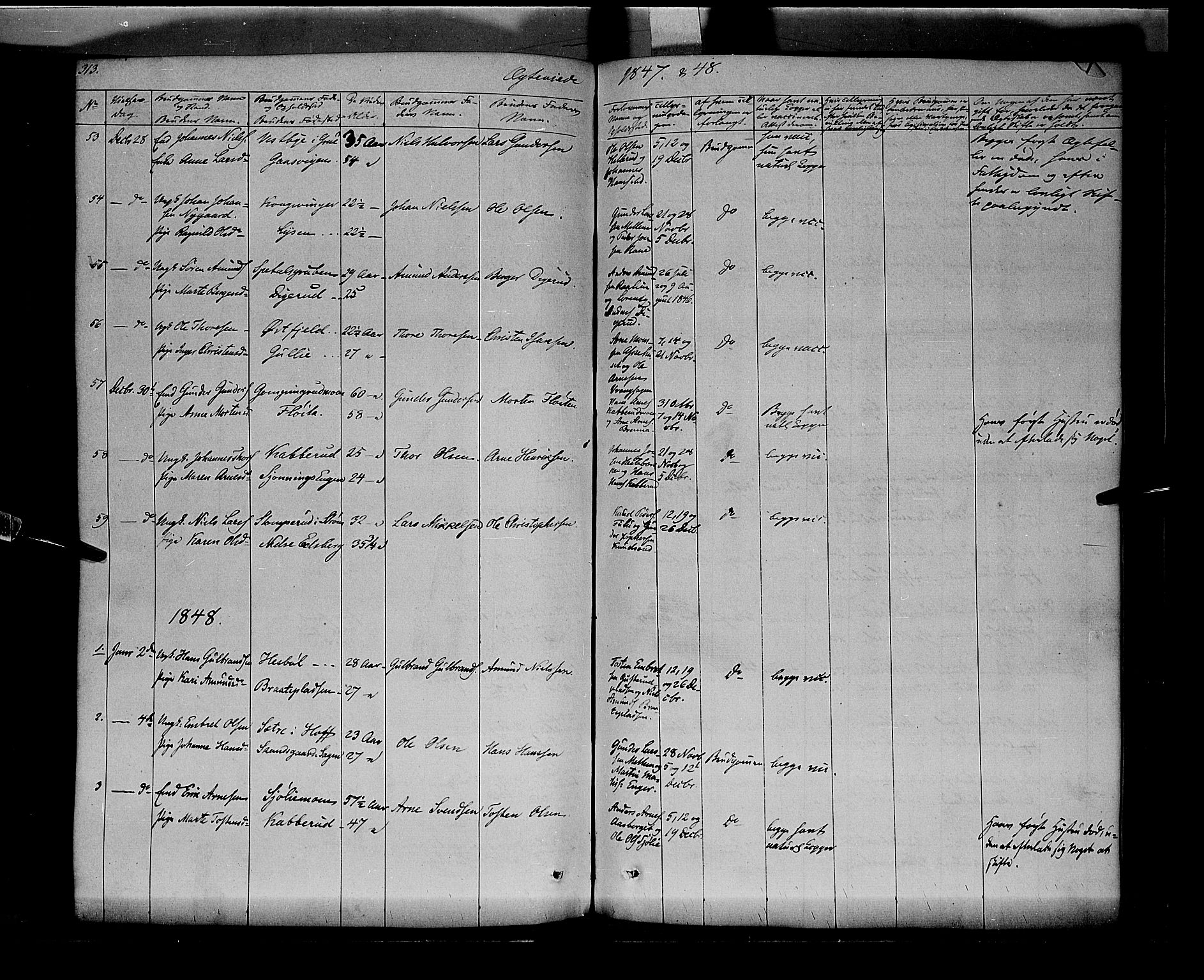 Vinger prestekontor, SAH/PREST-024/H/Ha/Haa/L0009: Parish register (official) no. 9, 1847-1855, p. 313