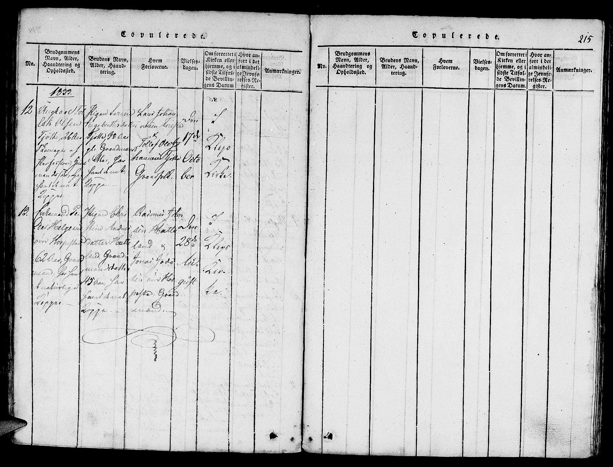 Klepp sokneprestkontor, AV/SAST-A-101803/001/3/30BA/L0002: Parish register (official) no. A 2, 1816-1833, p. 215