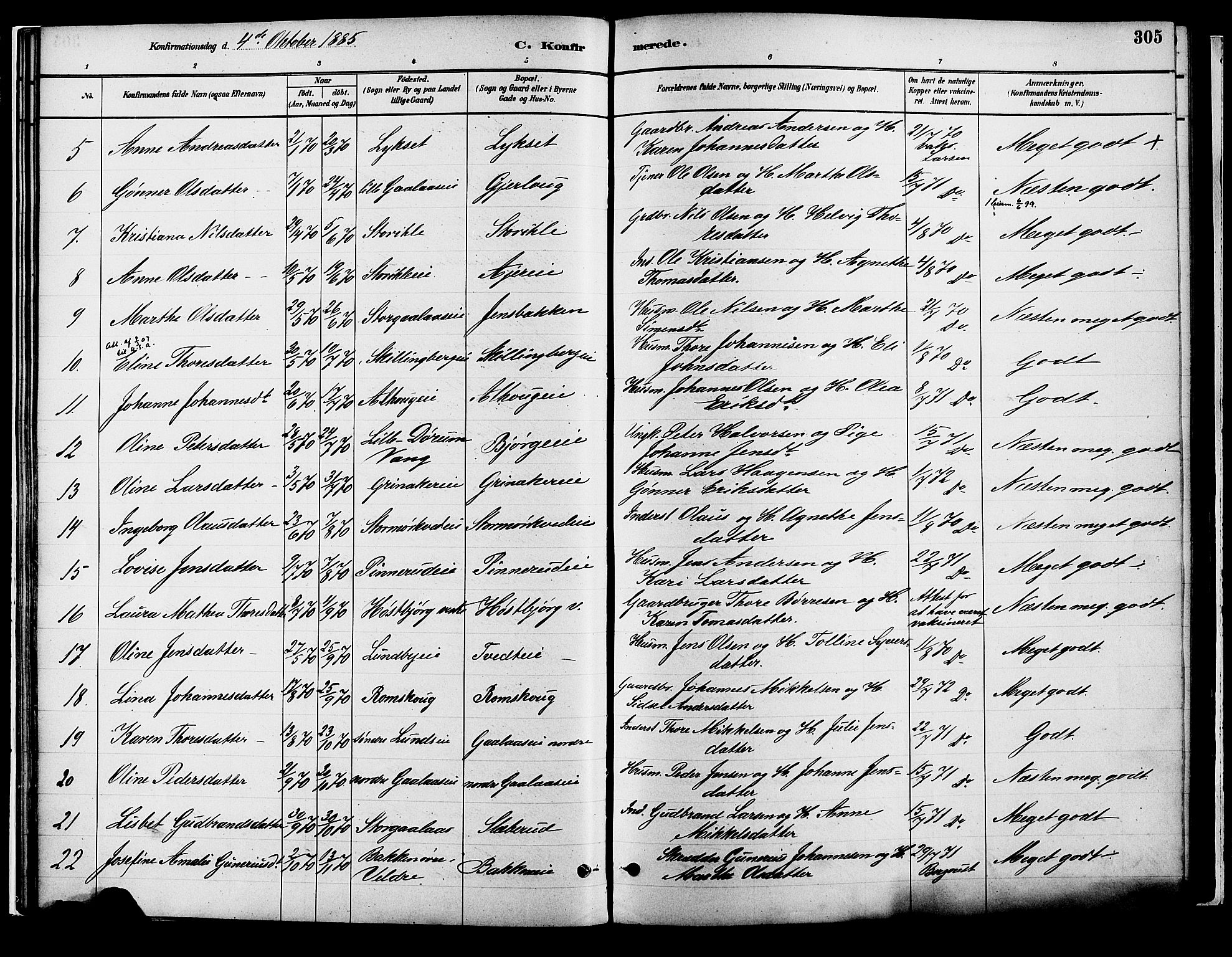 Vang prestekontor, Hedmark, SAH/PREST-008/H/Ha/Haa/L0018B: Parish register (official) no. 18B, 1880-1906, p. 305