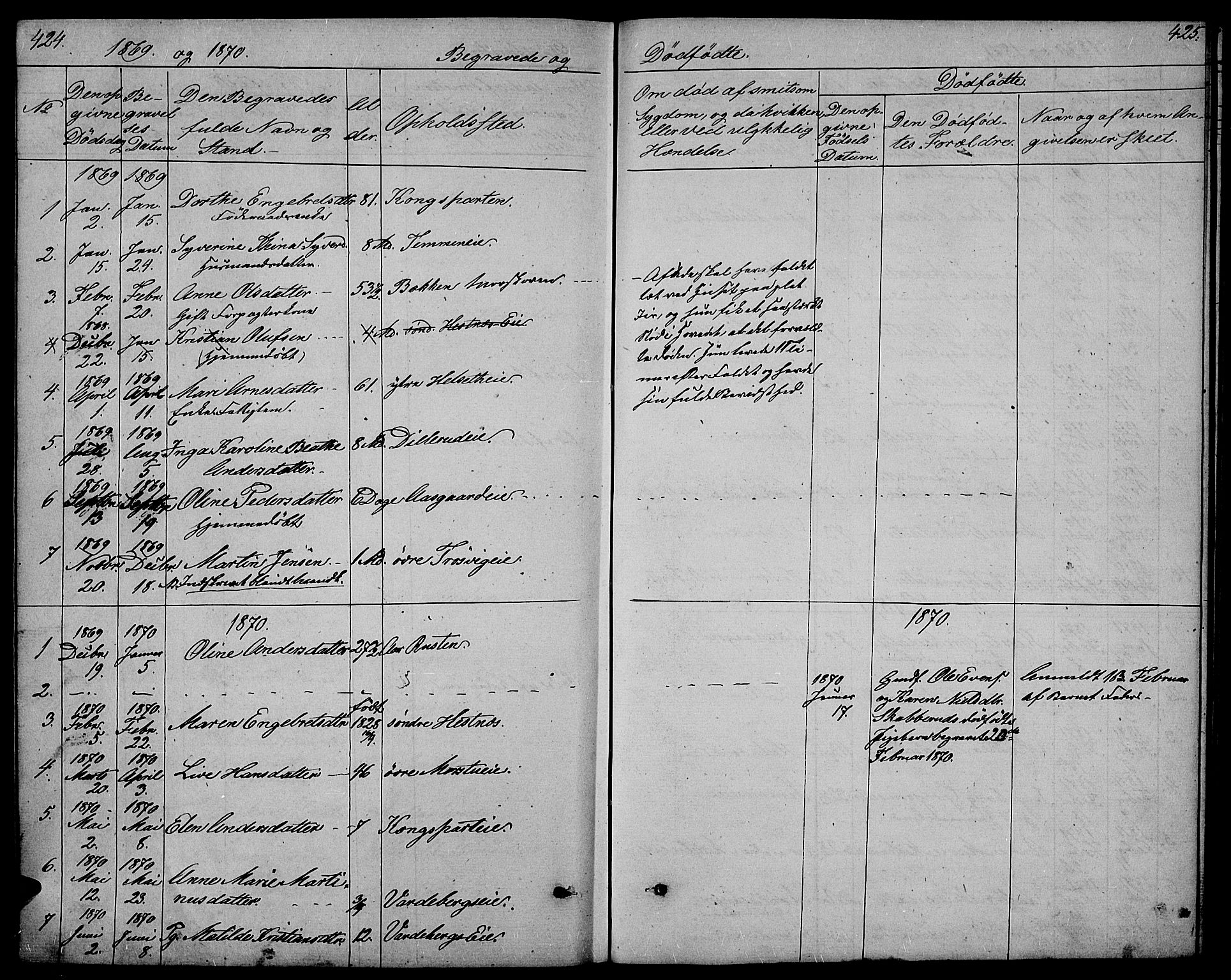 Stange prestekontor, SAH/PREST-002/L/L0005: Parish register (copy) no. 5, 1861-1881, p. 424-425