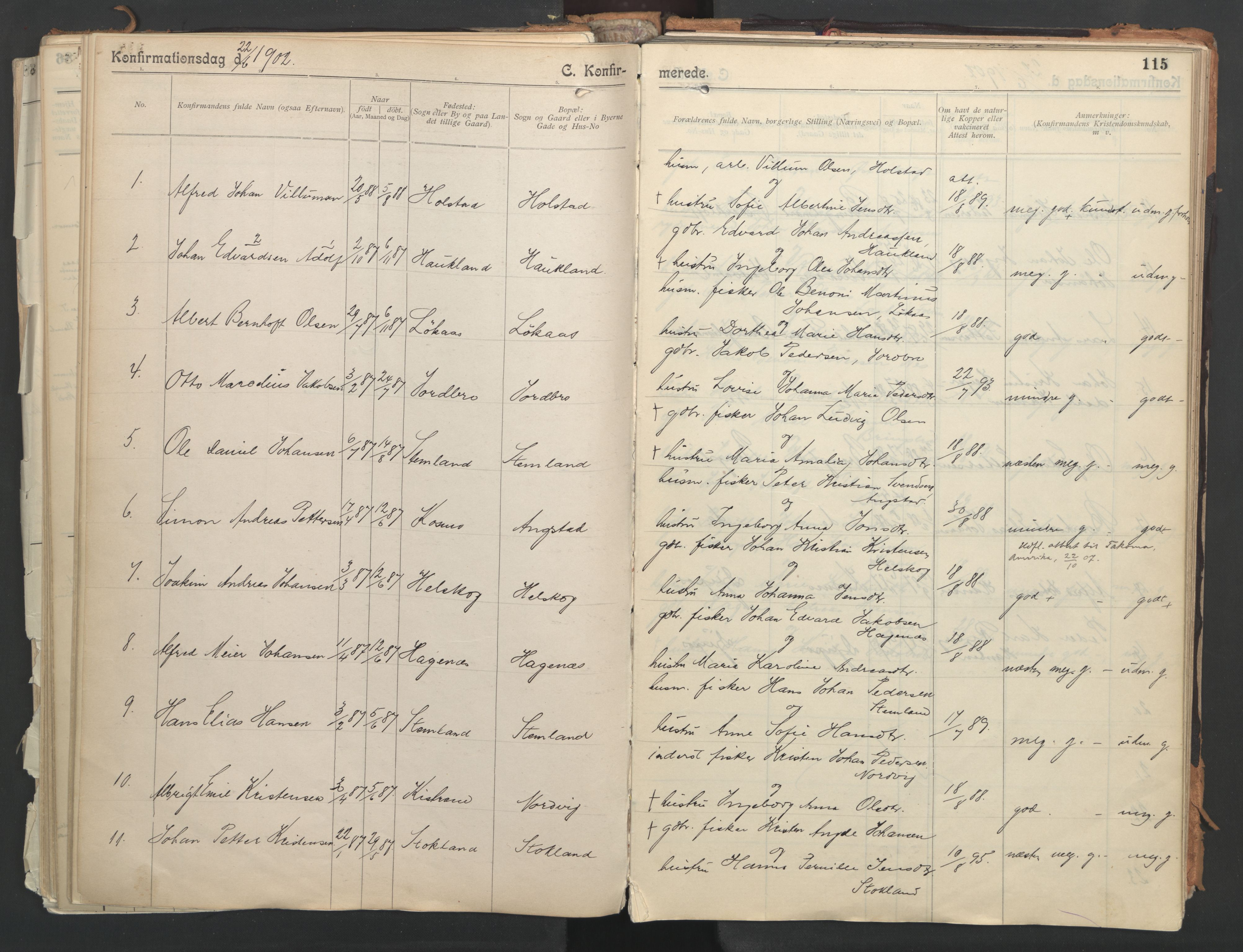 Ministerialprotokoller, klokkerbøker og fødselsregistre - Nordland, AV/SAT-A-1459/851/L0724: Parish register (official) no. 851A01, 1901-1922, p. 115