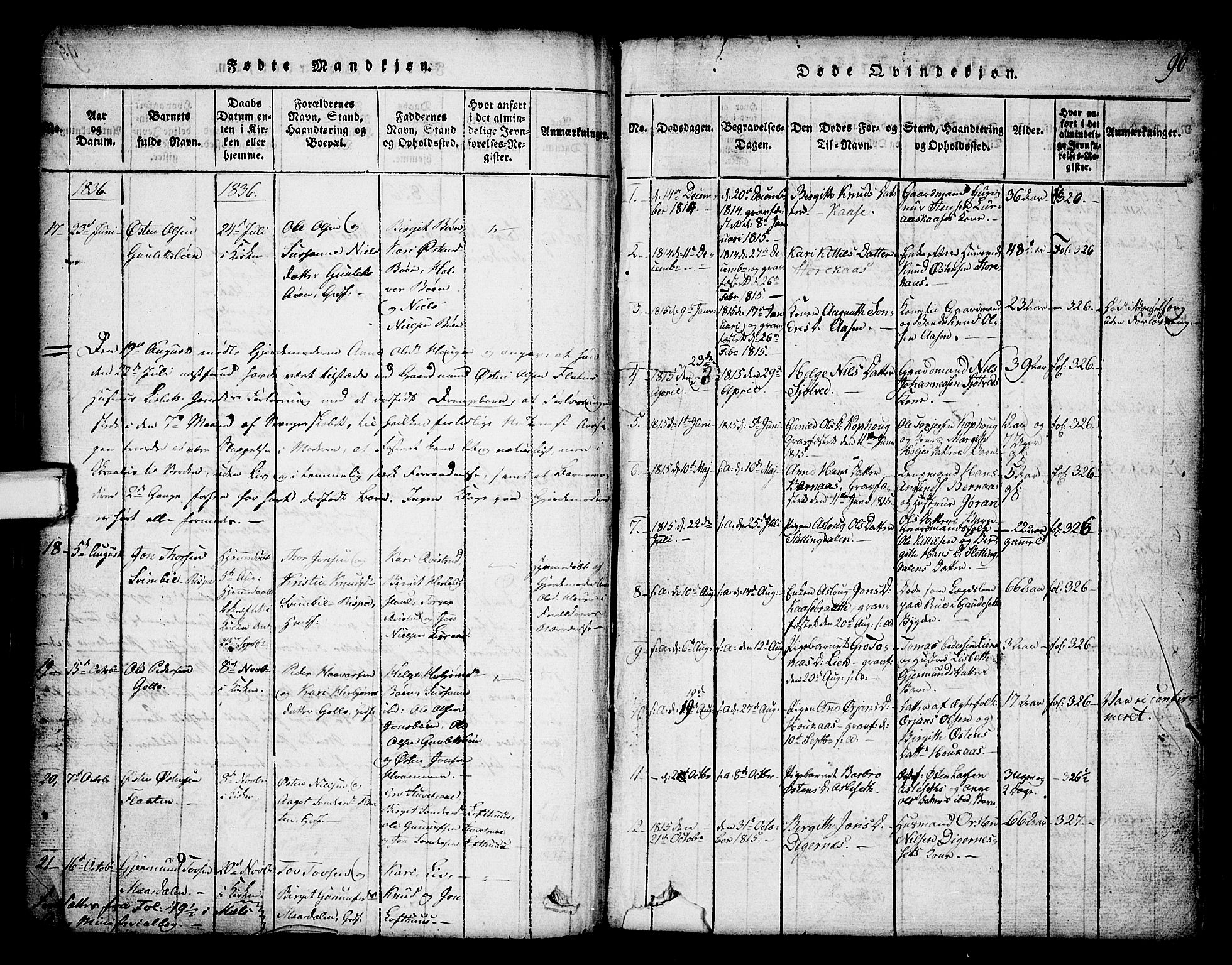 Tinn kirkebøker, SAKO/A-308/G/Ga/L0001: Parish register (copy) no. I 1, 1815-1850, p. 96