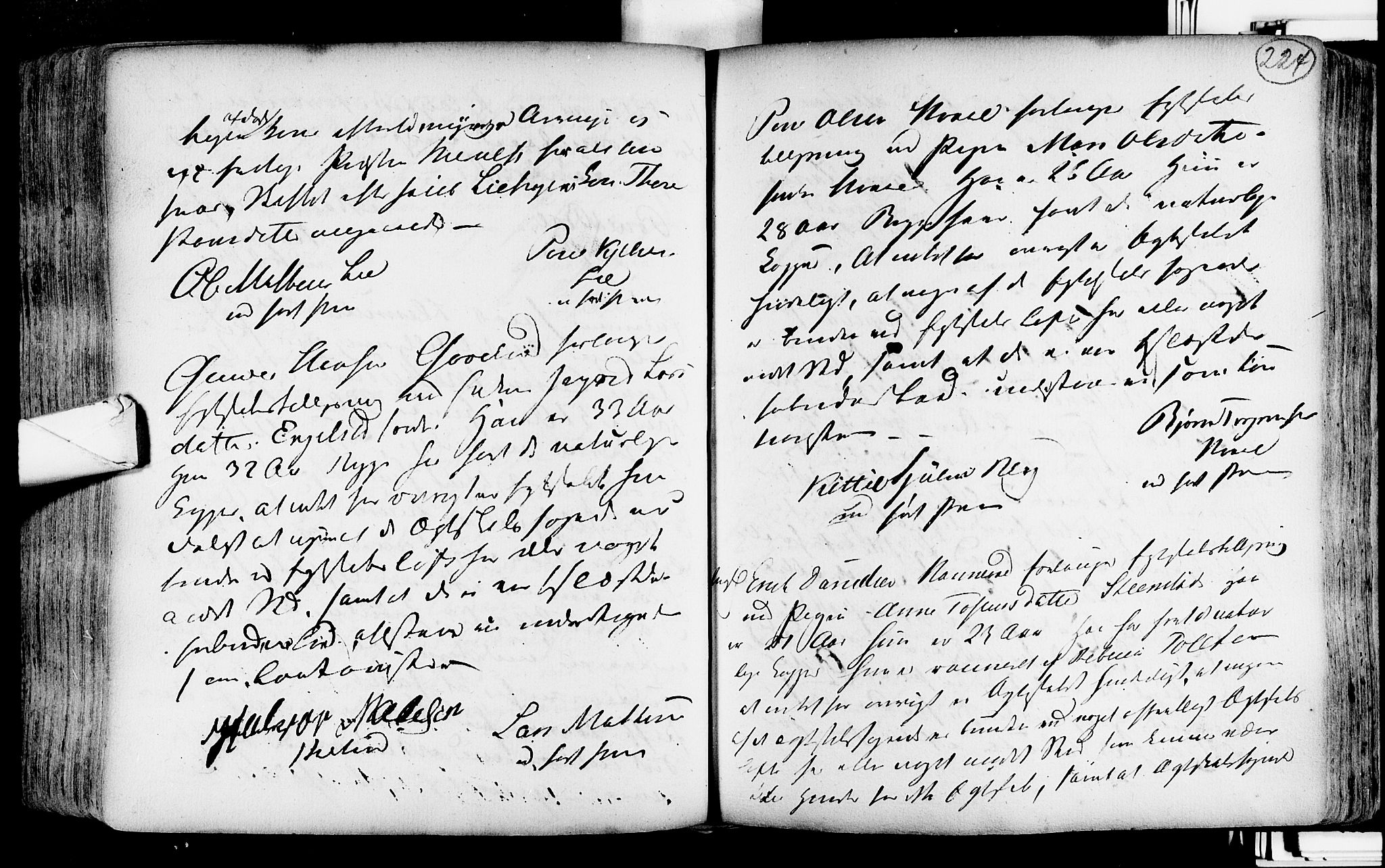 Lardal kirkebøker, AV/SAKO-A-350/F/Fa/L0004: Parish register (official) no. i 4, 1733-1815, p. 224