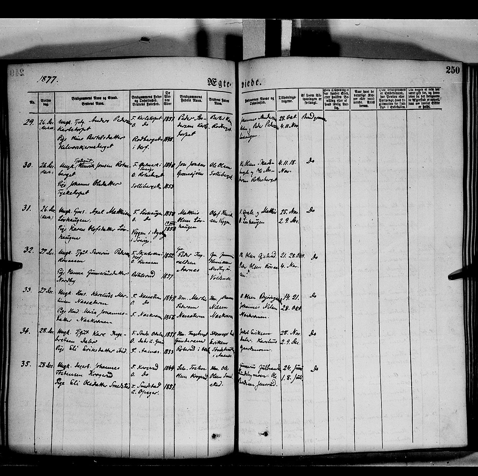 Grue prestekontor, SAH/PREST-036/H/Ha/Haa/L0011: Parish register (official) no. 11, 1873-1880, p. 250