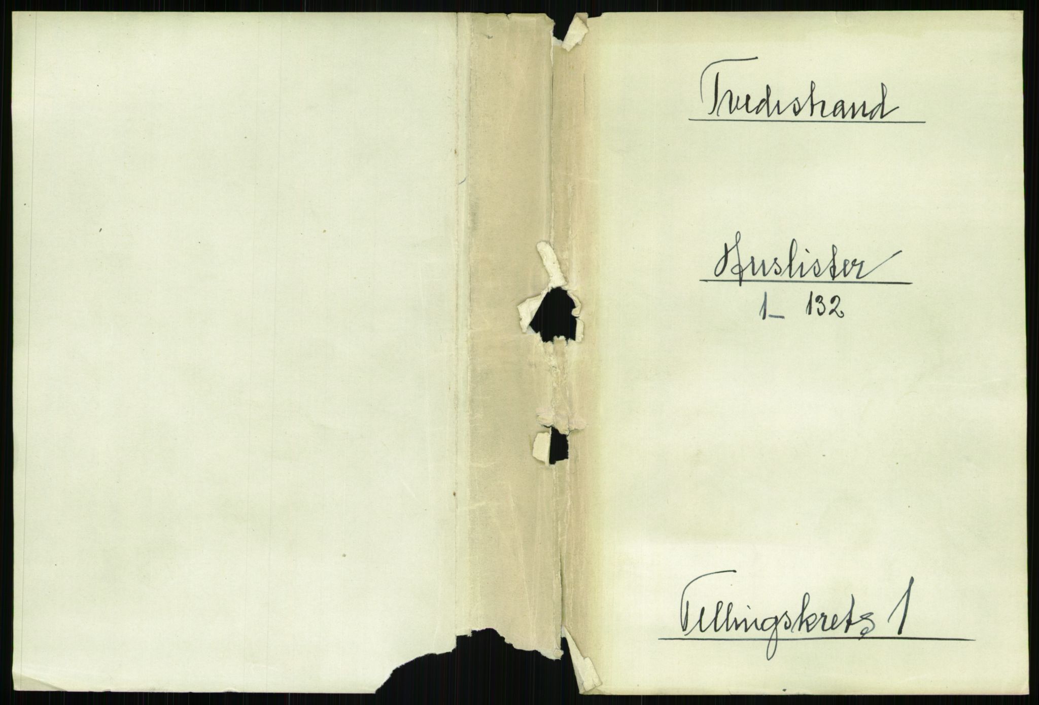 RA, 1891 census for 0902 Tvedestrand, 1891, p. 12