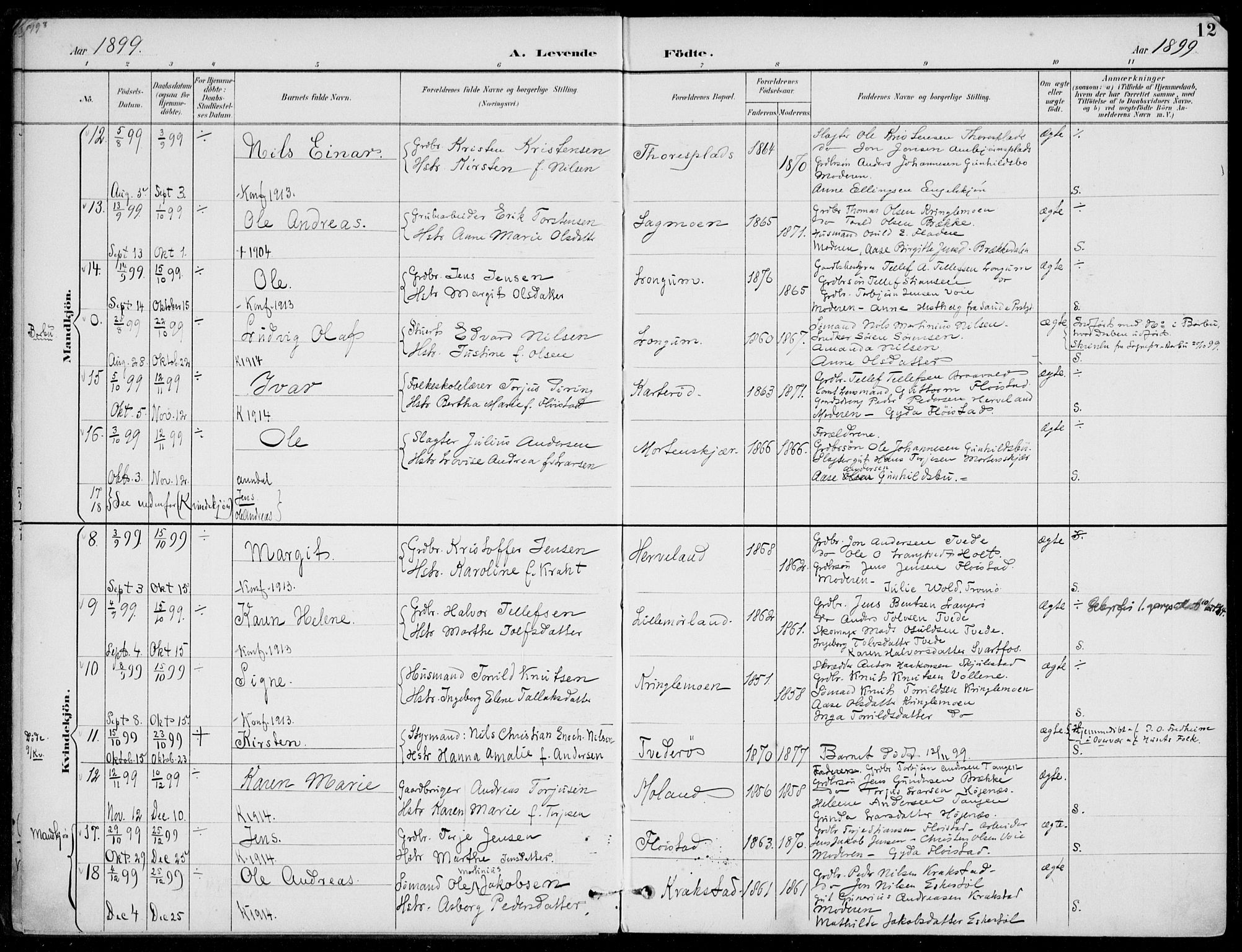 Austre Moland sokneprestkontor, AV/SAK-1111-0001/F/Fa/Faa/L0011: Parish register (official) no. A 11, 1894-1915, p. 12