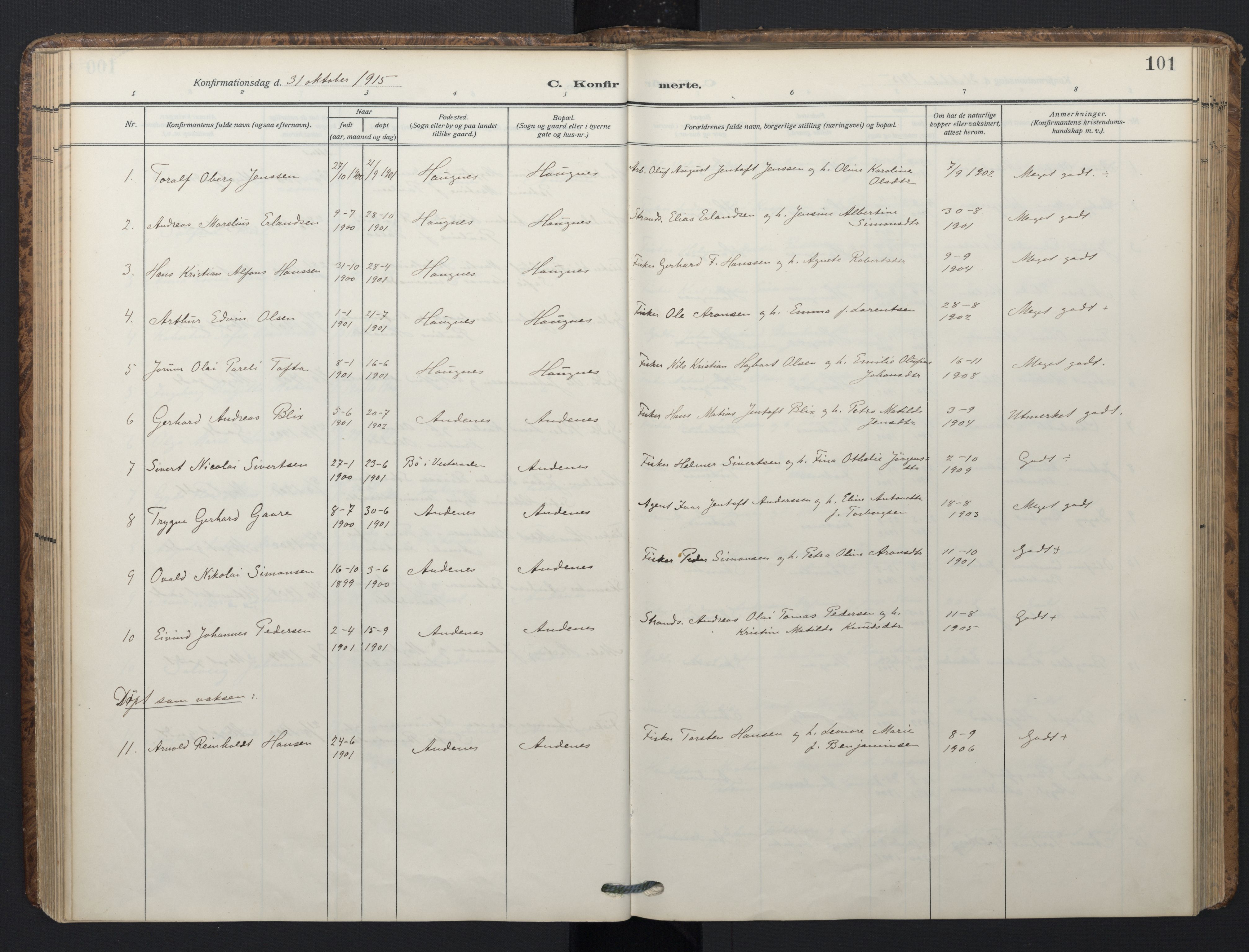 Ministerialprotokoller, klokkerbøker og fødselsregistre - Nordland, SAT/A-1459/899/L1438: Parish register (official) no. 899A06, 1909-1922, p. 101