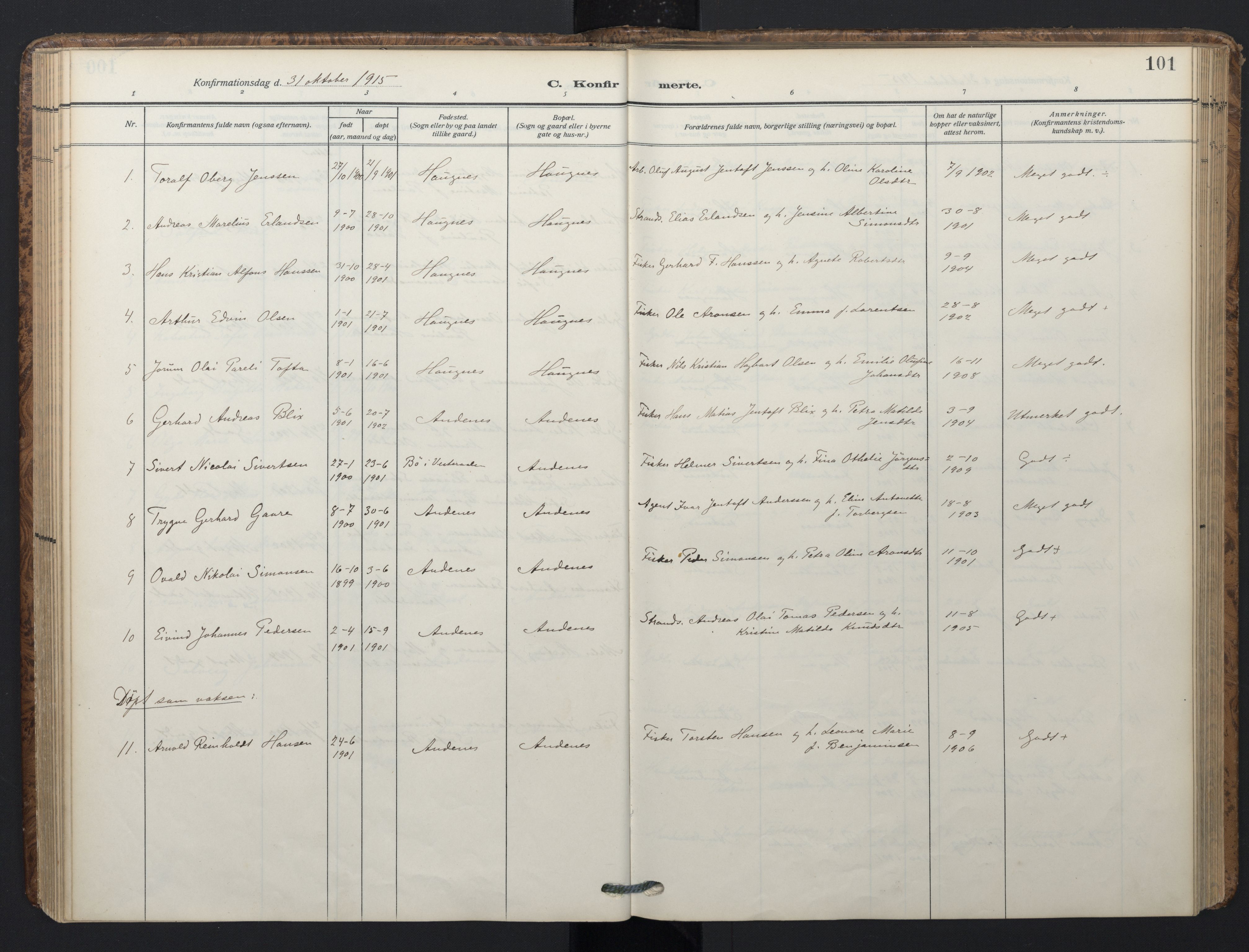 Ministerialprotokoller, klokkerbøker og fødselsregistre - Nordland, AV/SAT-A-1459/899/L1438: Parish register (official) no. 899A06, 1909-1922, p. 101
