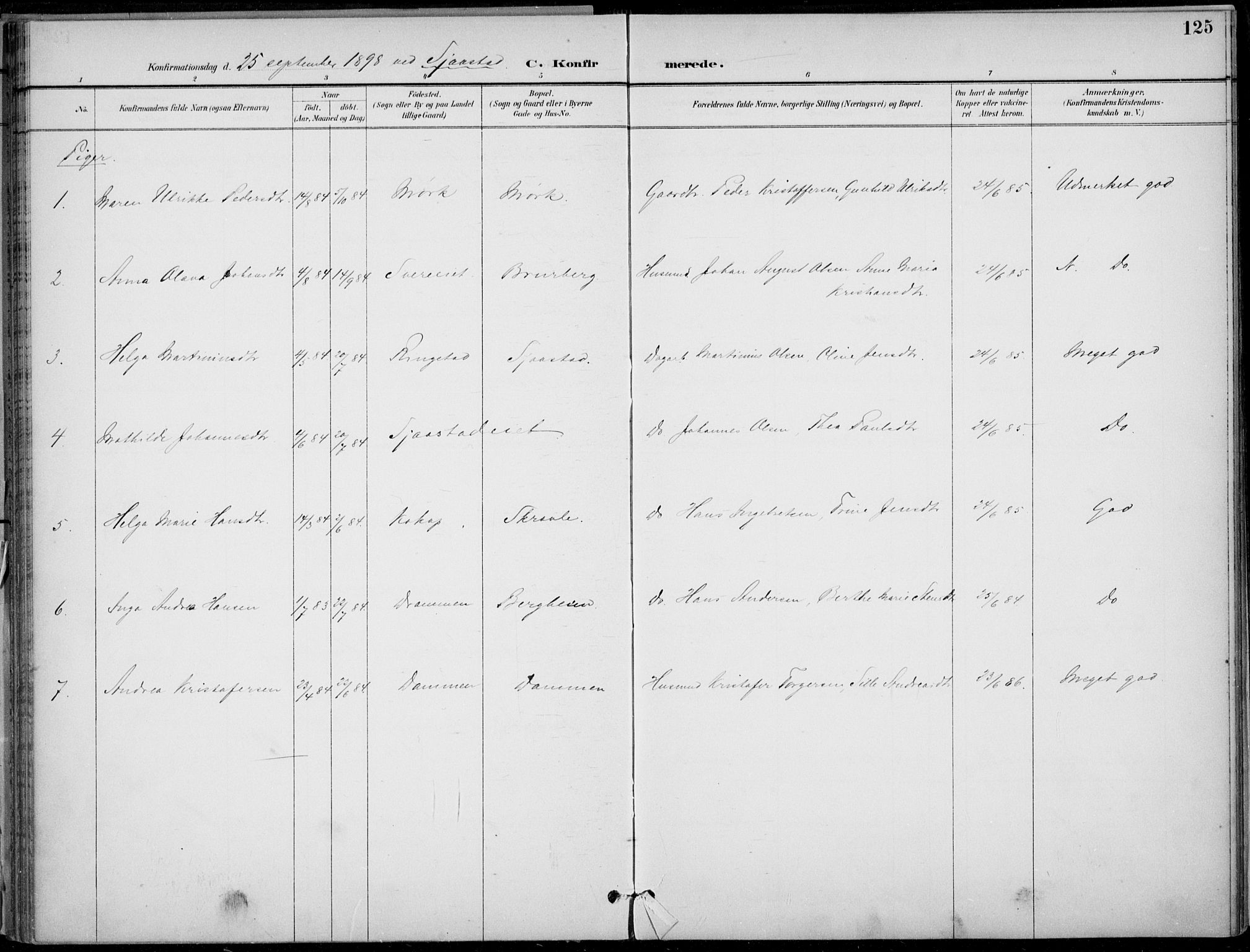 Lier kirkebøker, AV/SAKO-A-230/F/Fa/L0016: Parish register (official) no. I 16, 1895-1900, p. 125