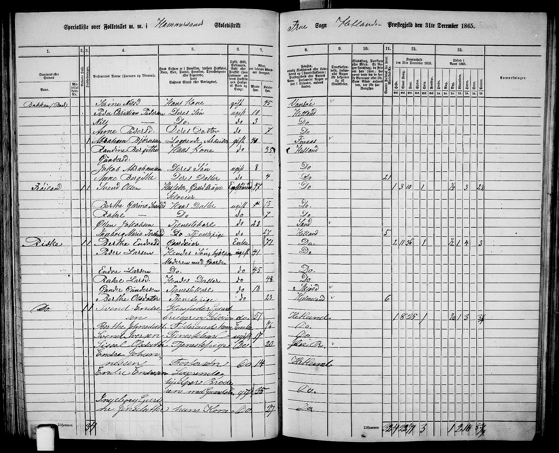 RA, 1865 census for Hetland, 1865, p. 84