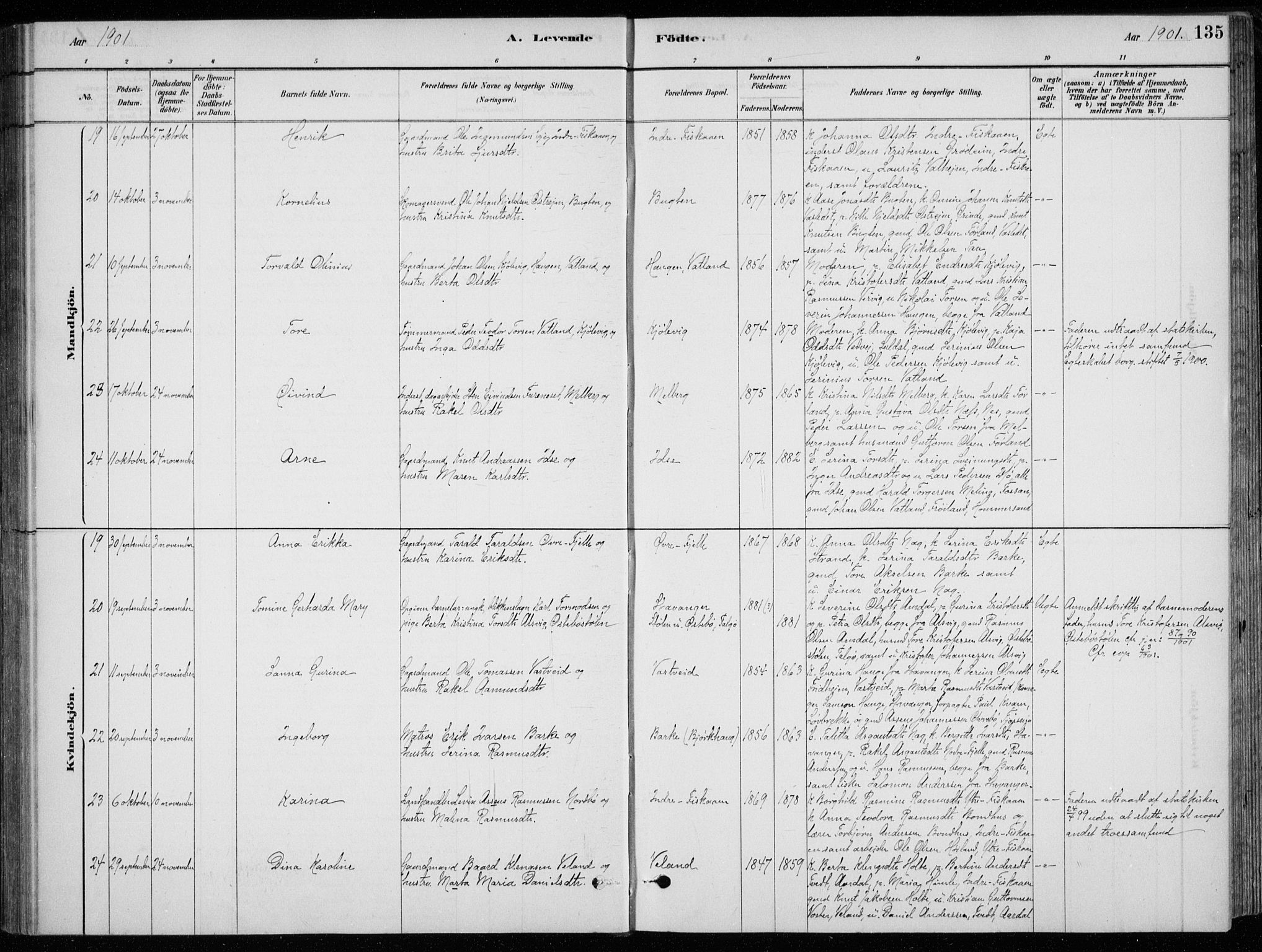 Strand sokneprestkontor, AV/SAST-A-101828/H/Ha/Hab/L0004: Parish register (copy) no. B 4, 1878-1903, p. 135