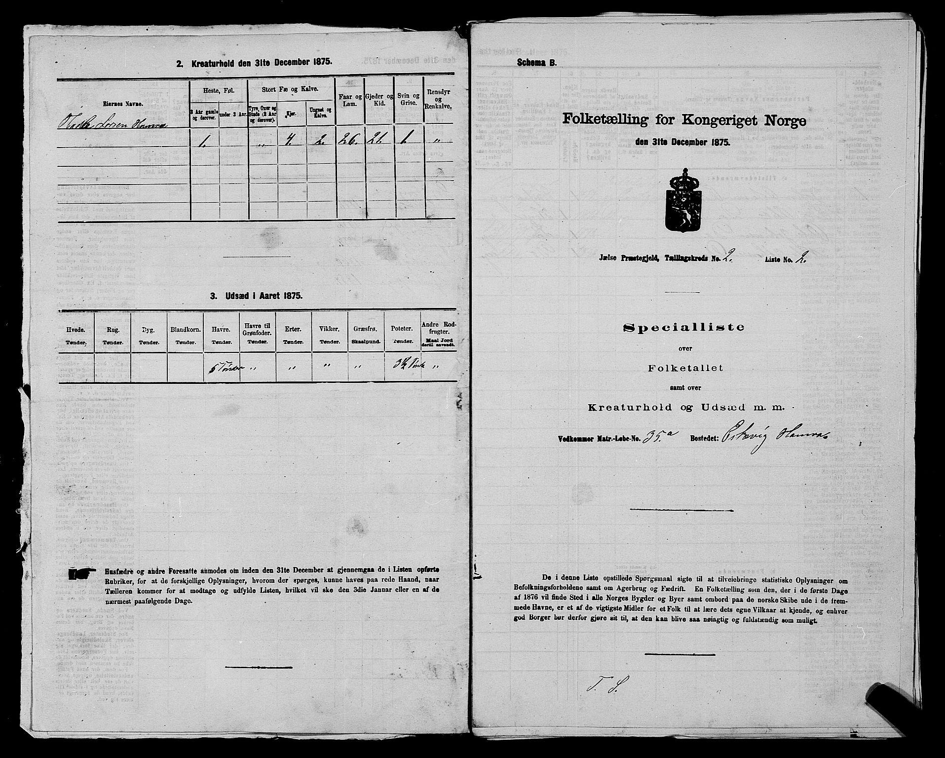 SAST, 1875 census for 1138P Jelsa, 1875, p. 118