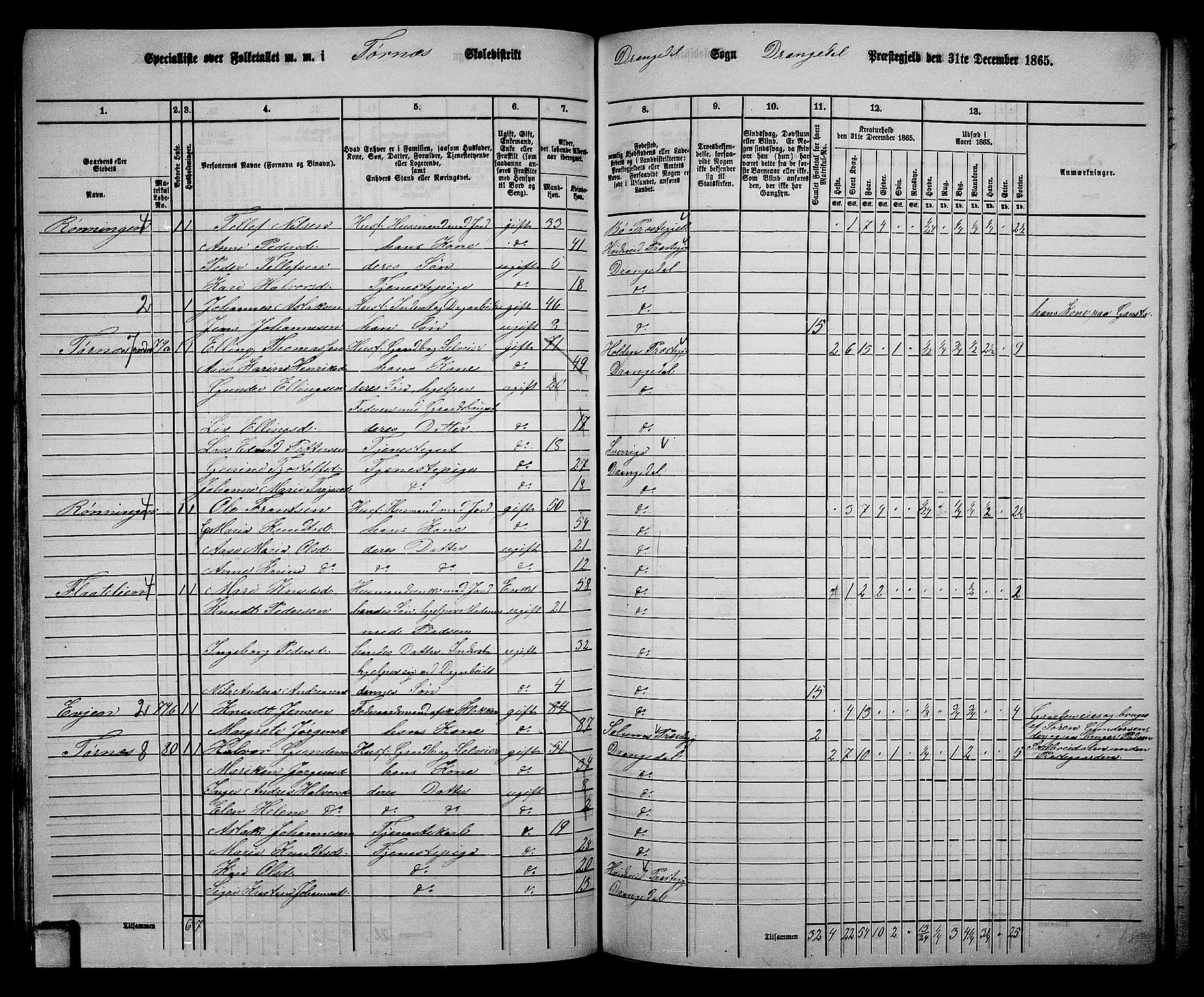 RA, 1865 census for Drangedal, 1865, p. 69