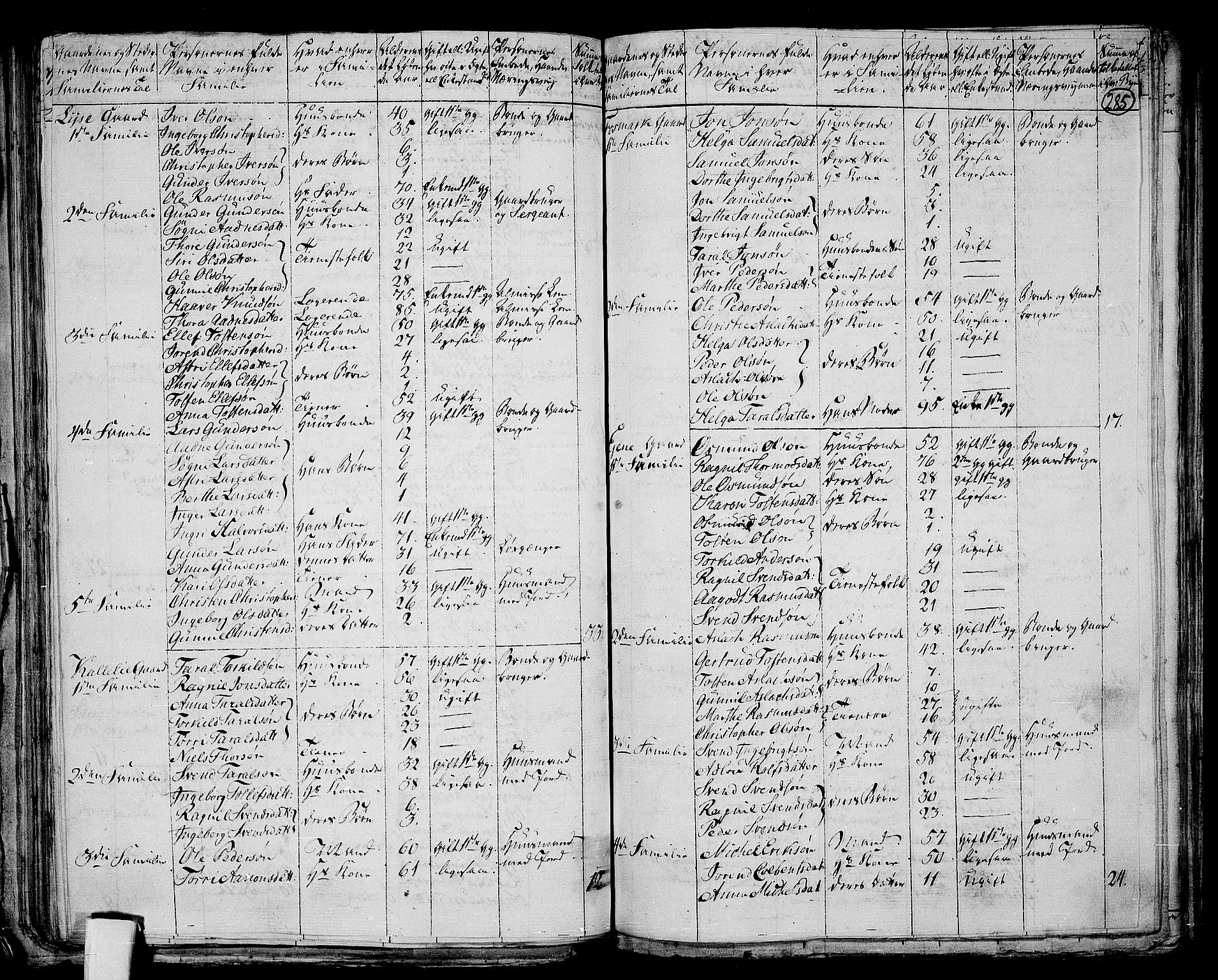 RA, 1801 census for 1130P Strand, 1801, p. 284b-285a