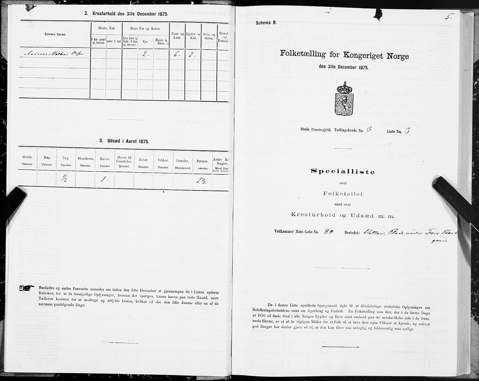 SAT, 1875 census for 1734P Stod, 1875, p. 3005