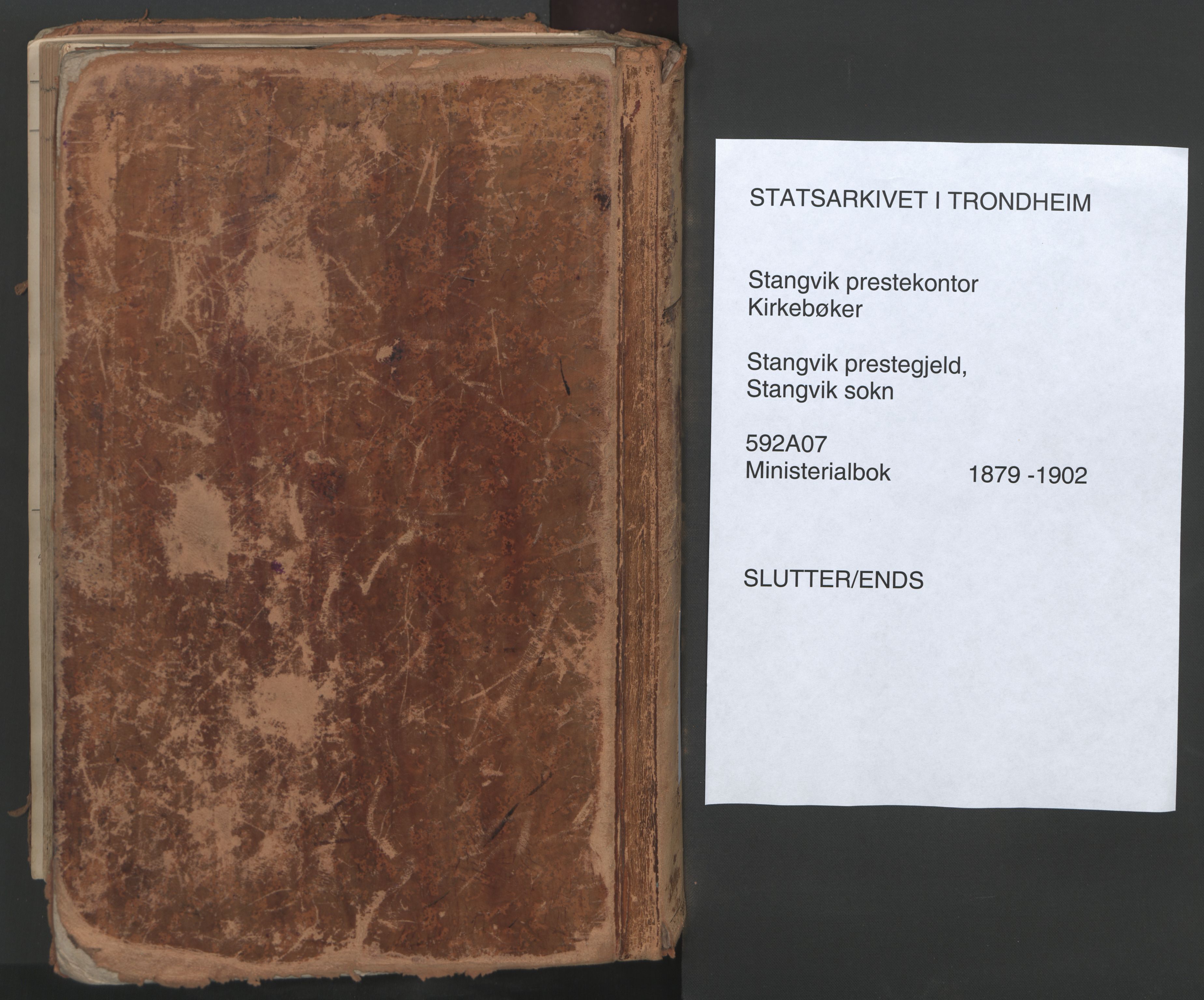 Ministerialprotokoller, klokkerbøker og fødselsregistre - Møre og Romsdal, AV/SAT-A-1454/592/L1029: Parish register (official) no. 592A07, 1879-1902