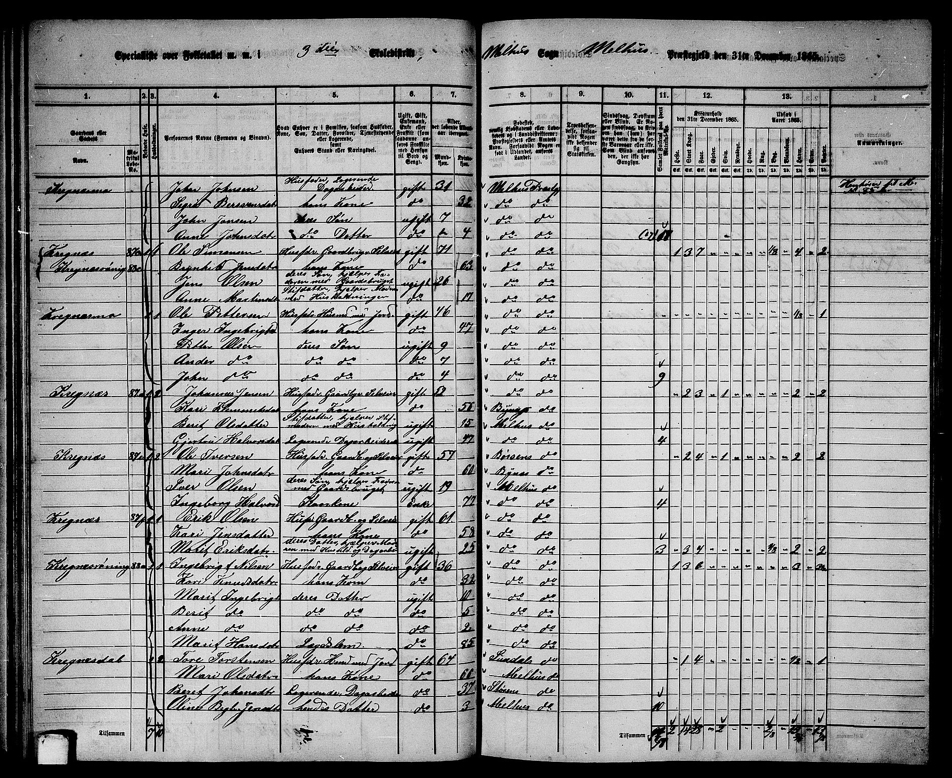 RA, 1865 census for Melhus, 1865, p. 65