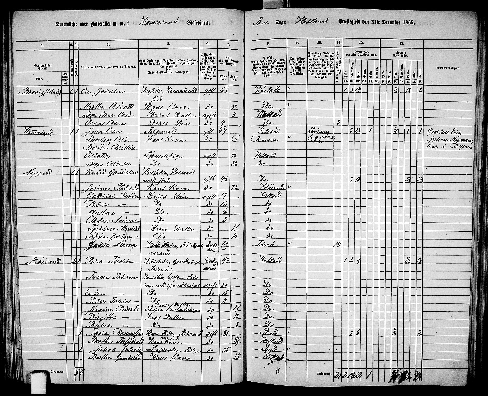 RA, 1865 census for Hetland, 1865, p. 81