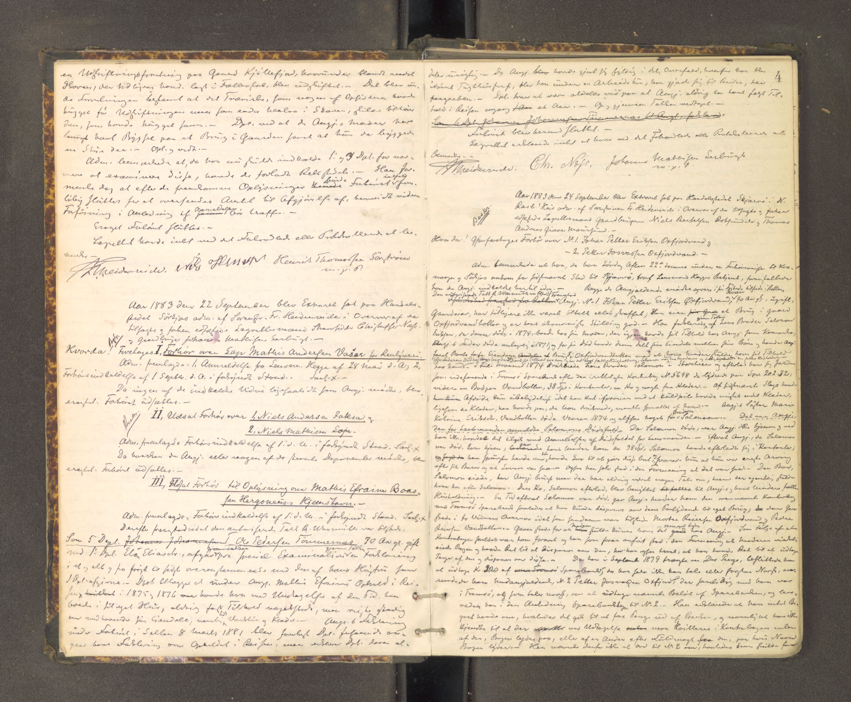 Tromsø sorenskriveri 1855-, AV/SATØ-S-0050/F/Fe/L0135: Ekstrarettsprotokoll, 1883-1888, p. 3b-4a