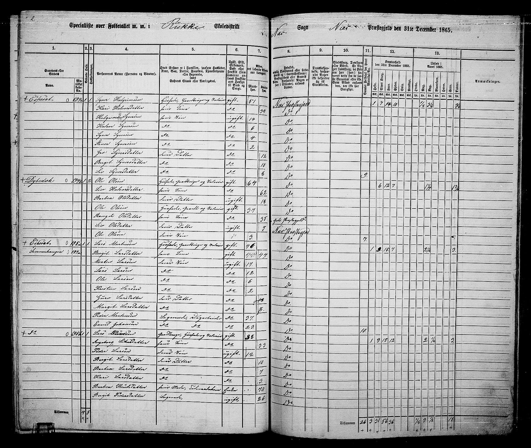 RA, 1865 census for Nes, 1865, p. 176